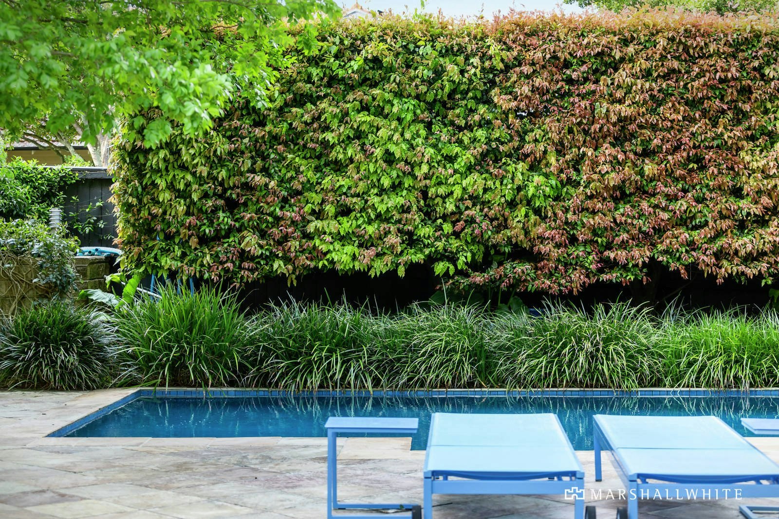 6 Malvern Road, Mont Albert, VIC