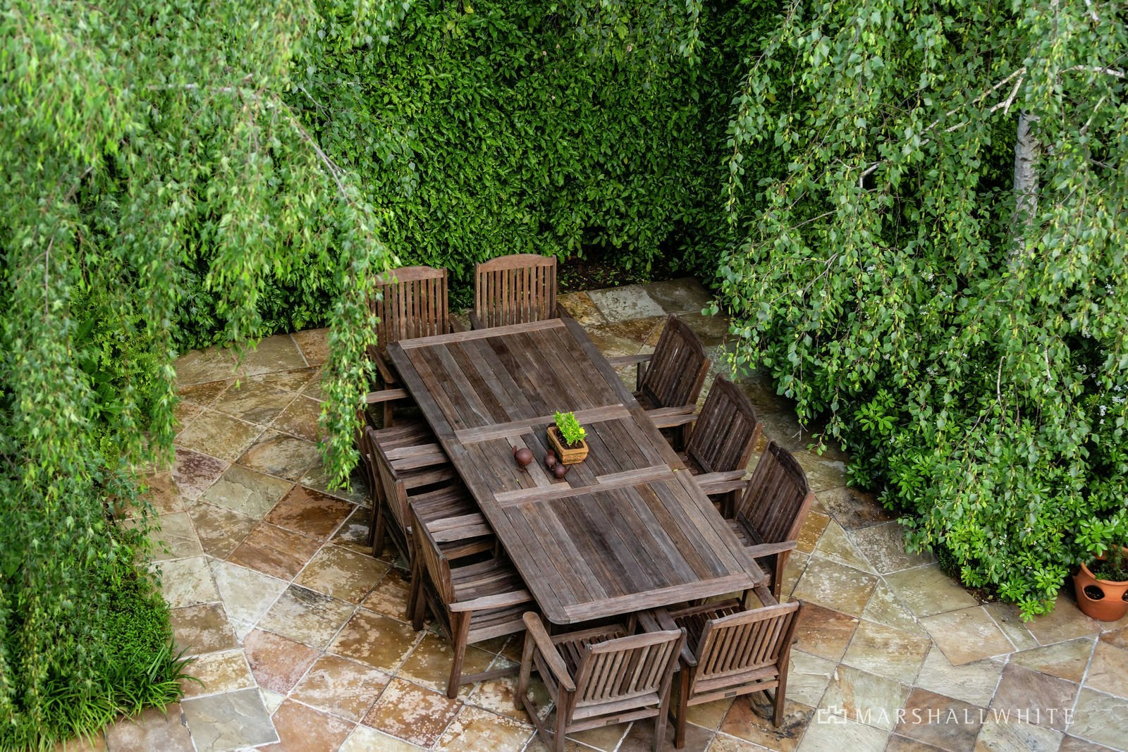 6 Malvern Road, Mont Albert, VIC