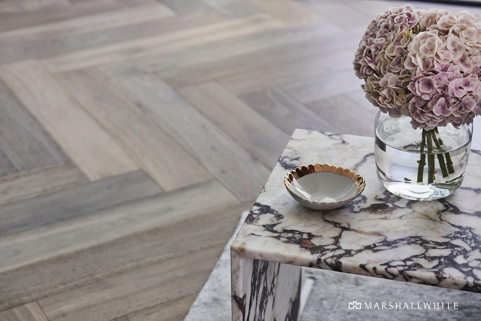 81 High Street, Glen Iris, VIC