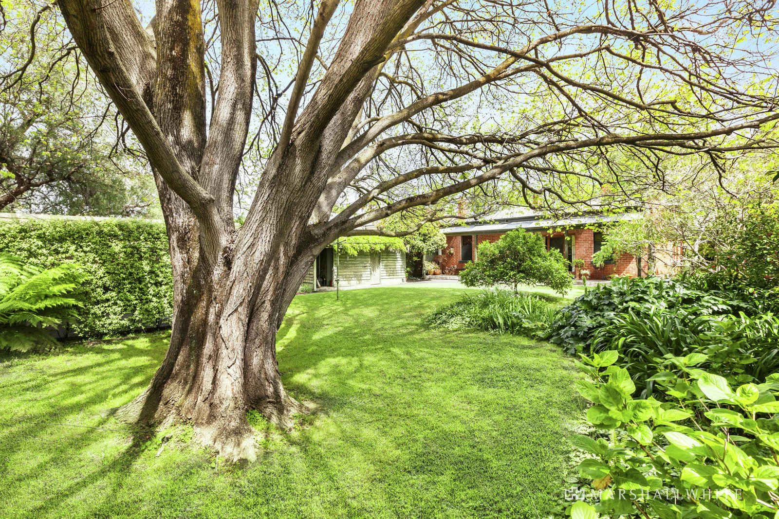 17 Kasouka Road, Camberwell, VIC