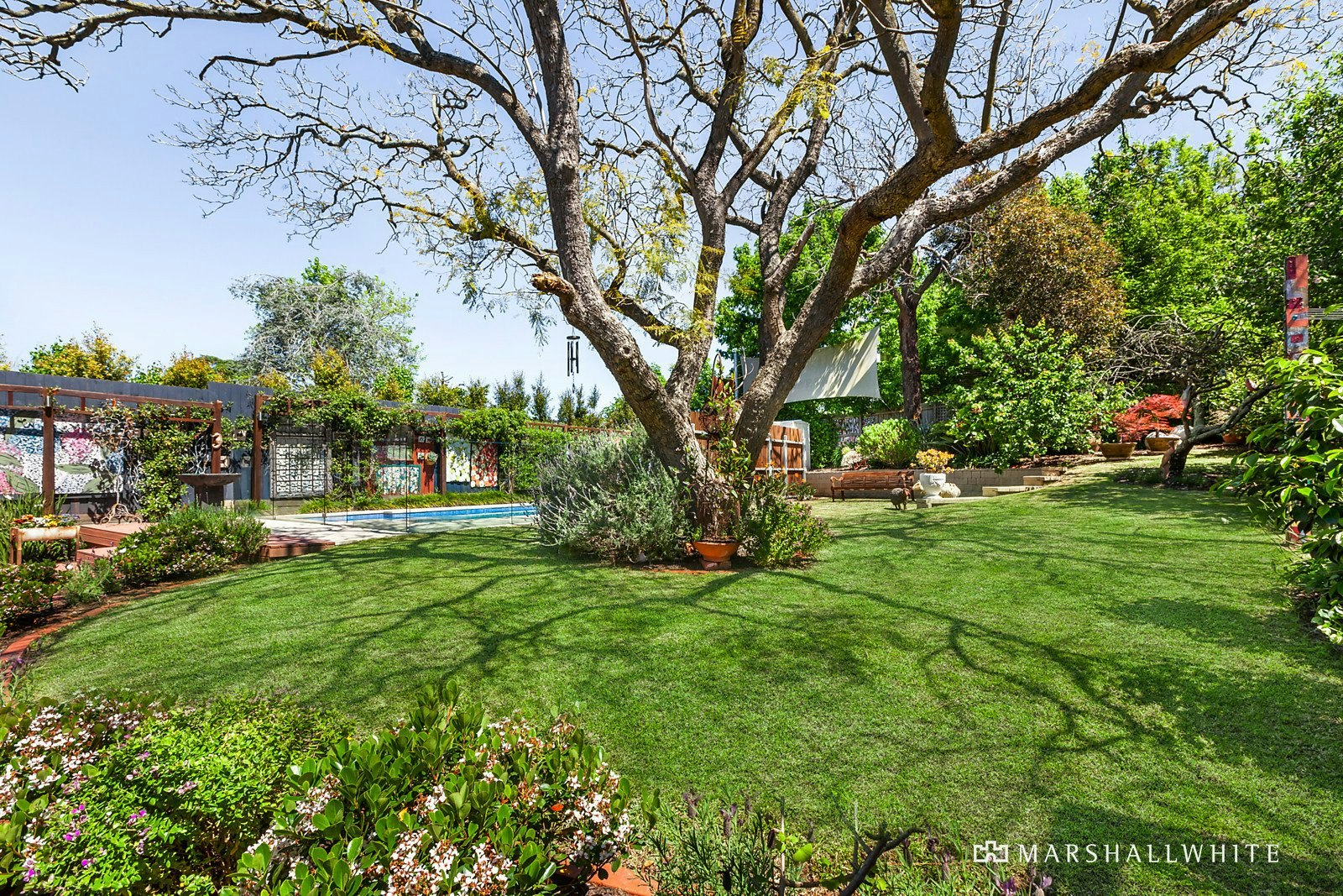 17 Rochester Road, Canterbury, VIC