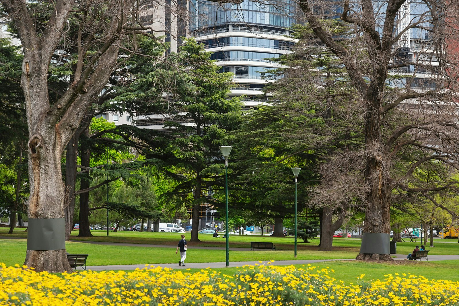 97-105 Rathdowne Street, Carlton, VIC