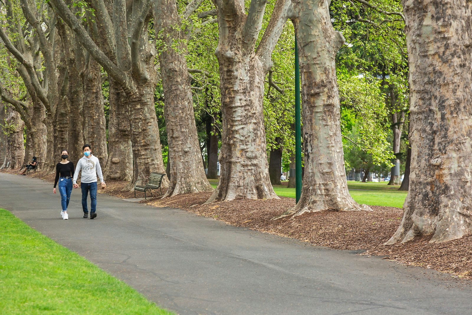 97-105 Rathdowne Street, Carlton, VIC
