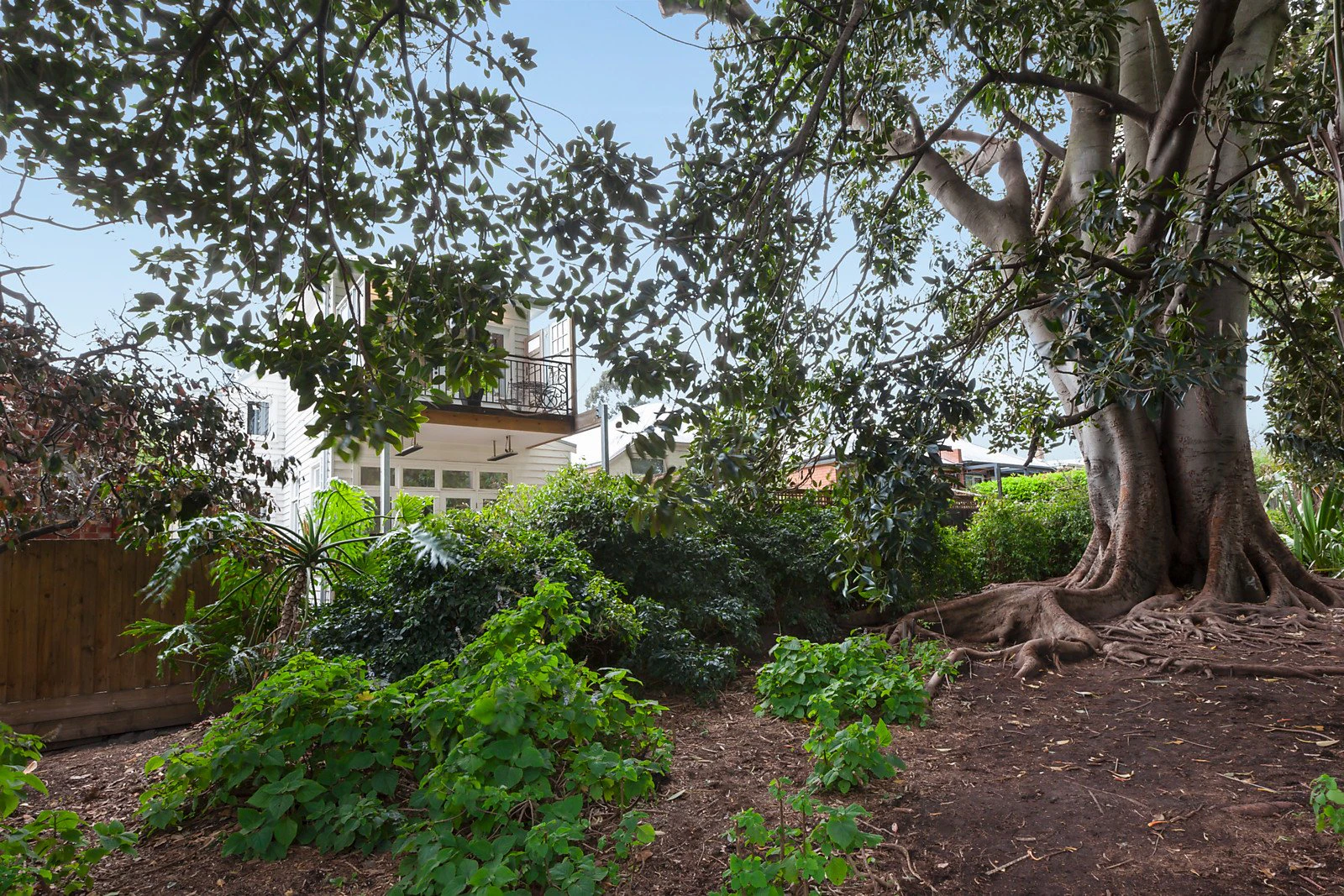 6 Falmouth Street, Hawthorn, VIC
