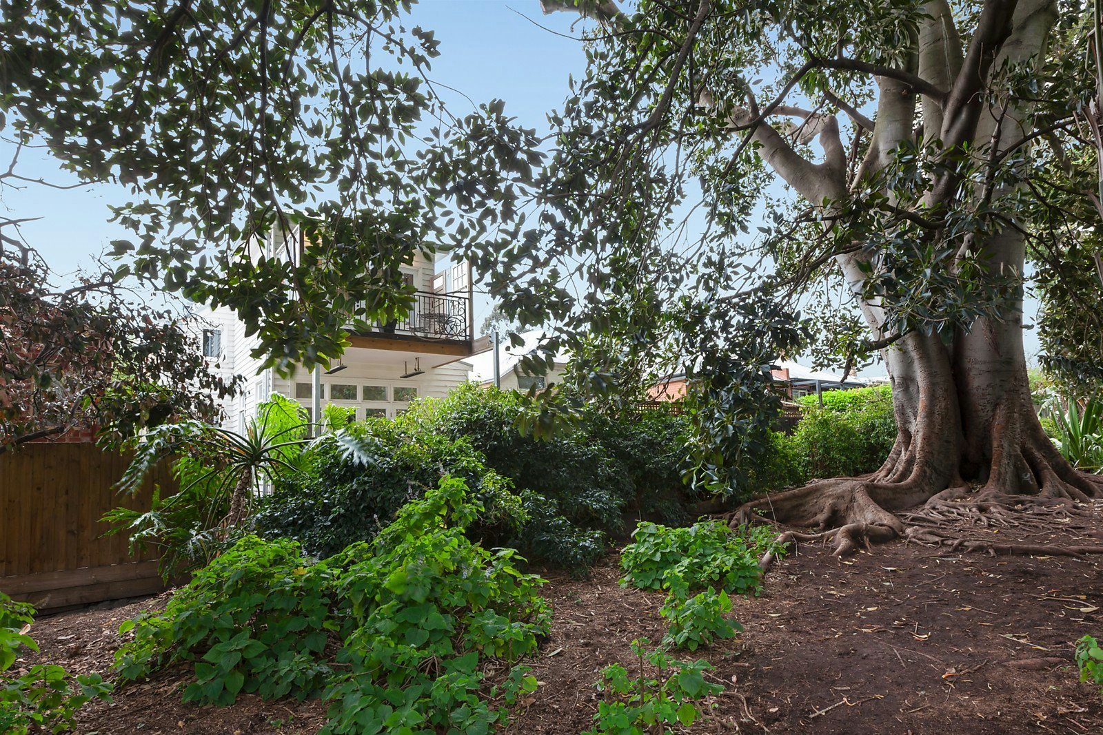 6 Falmouth Street, Hawthorn, VIC