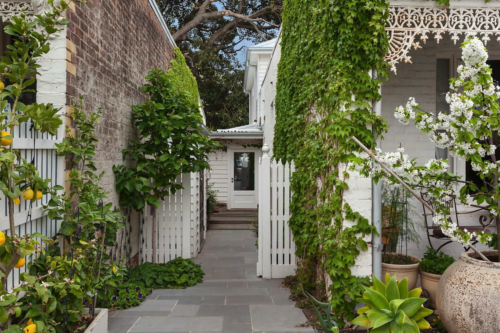 6 Falmouth Street, Hawthorn, VIC