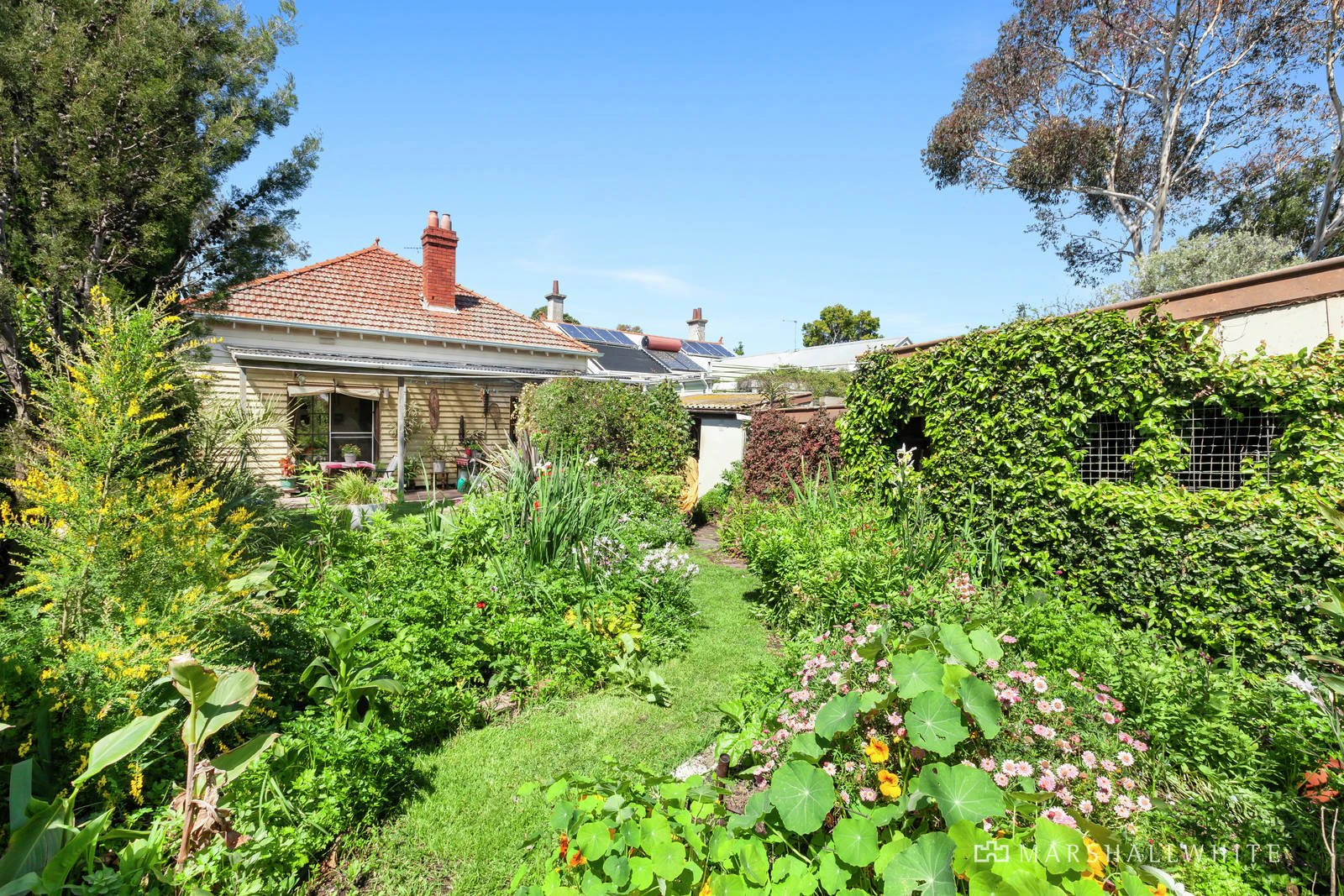 6 Airlie Street, Brighton, VIC