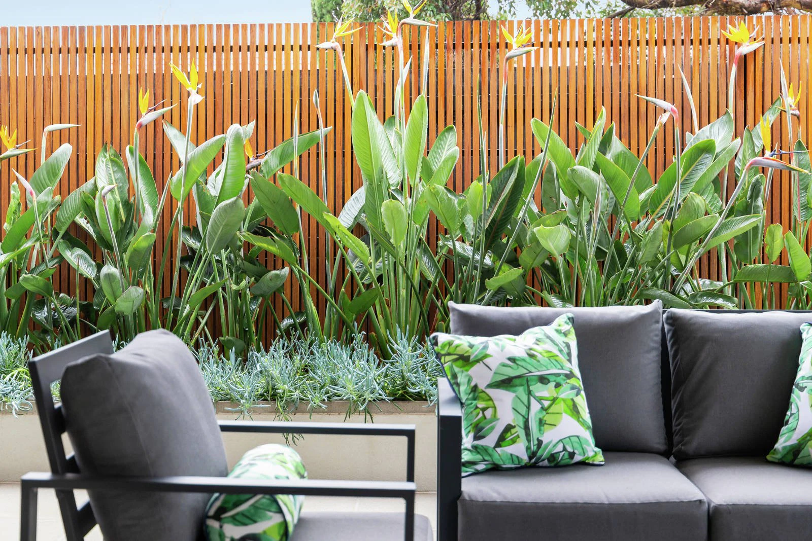 26 Studley Road, Brighton East, VIC
