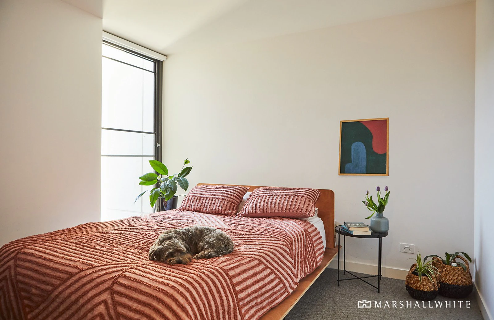 203/11 Jackson Street, St Kilda, VIC
