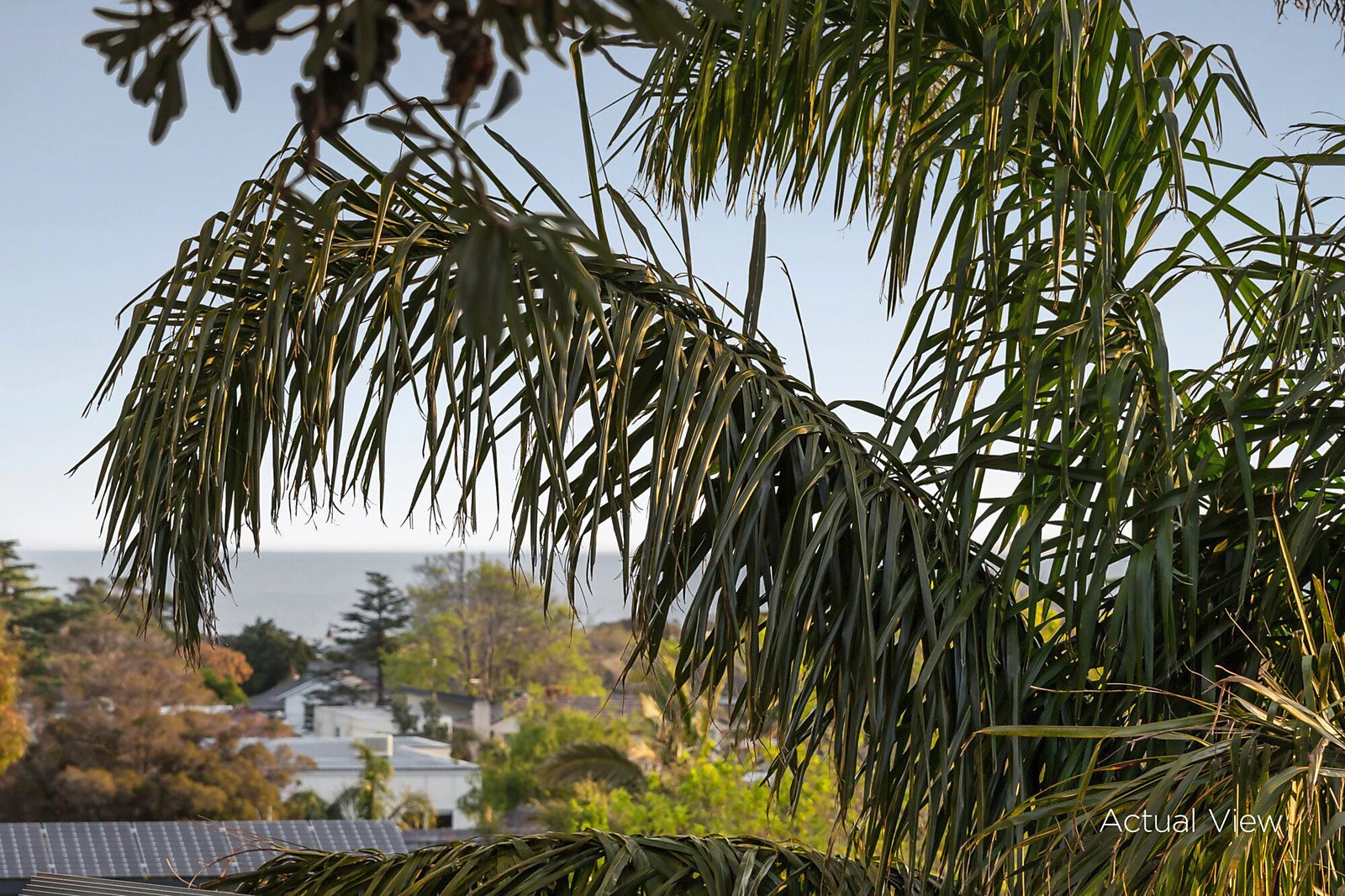 19 Wells Road, Beaumaris, VIC