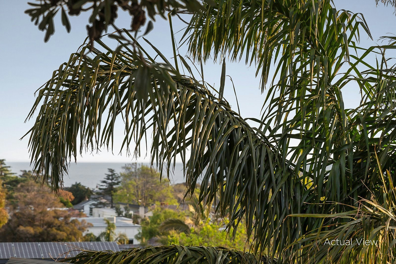 19 Wells Road, Beaumaris, VIC