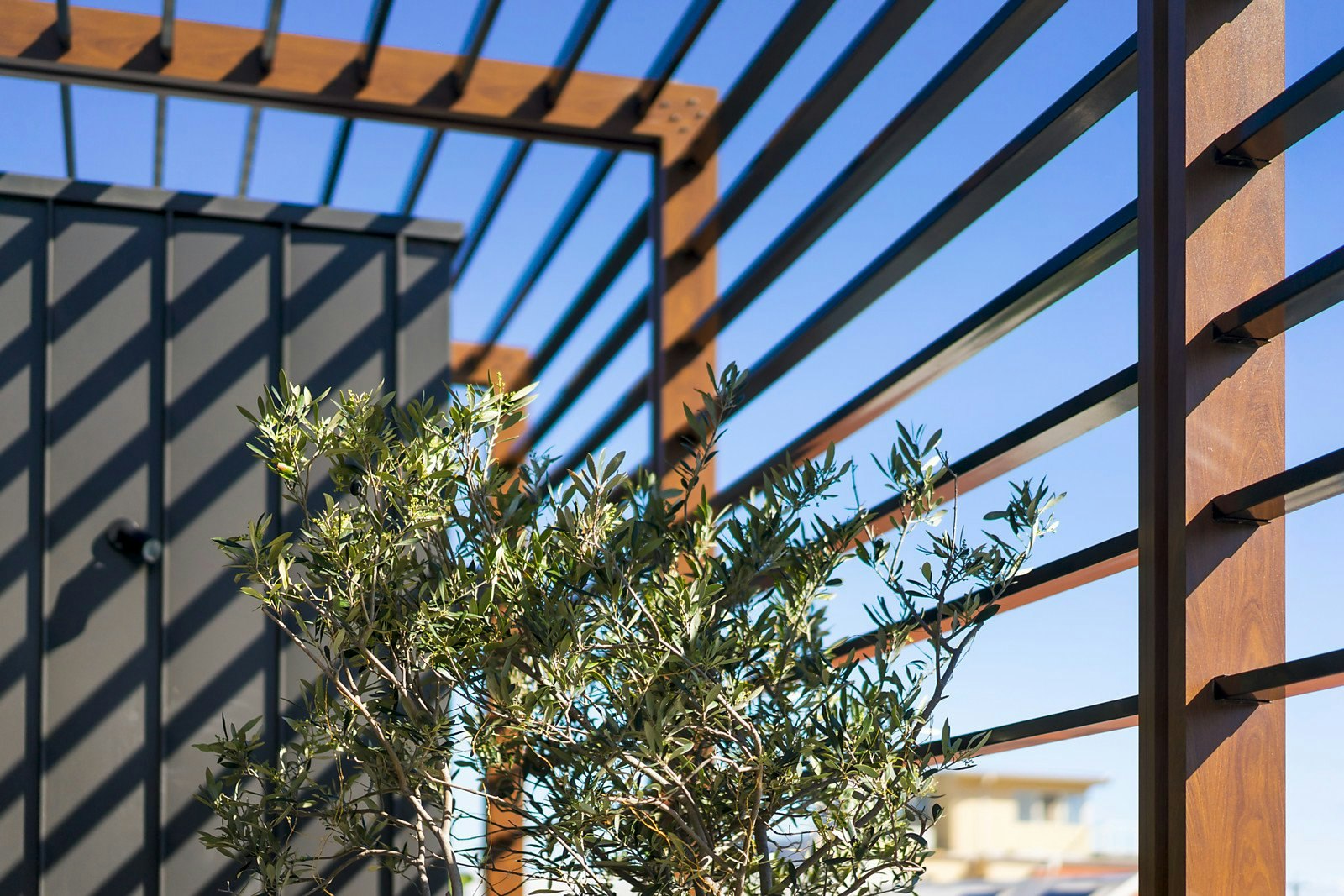 201/4 Littlewood Street, Hampton, VIC