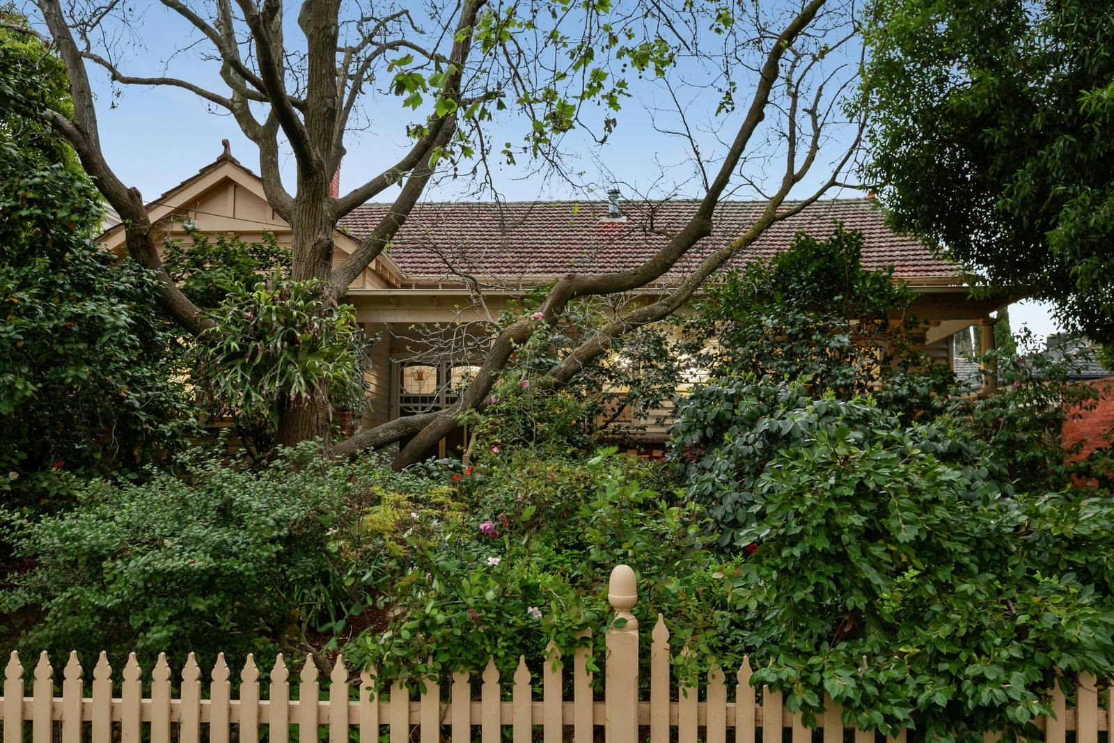 11 York Street, Surrey Hills, VIC