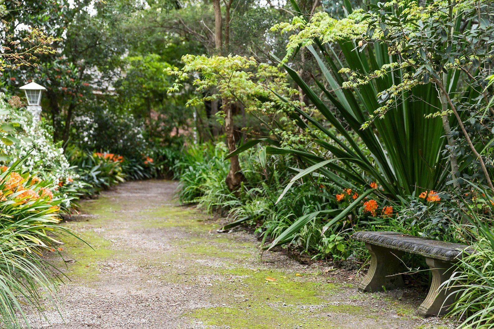 626 (and 624) Riversdale Road, Camberwell, VIC