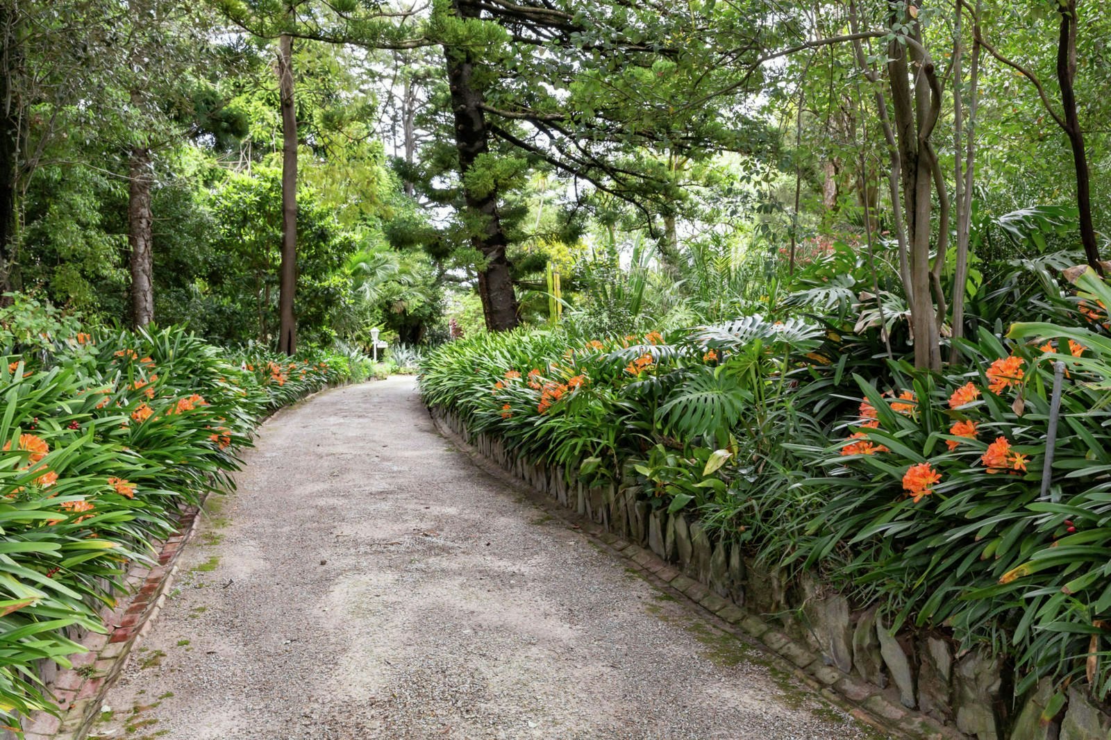 626 (and 624) Riversdale Road, Camberwell, VIC