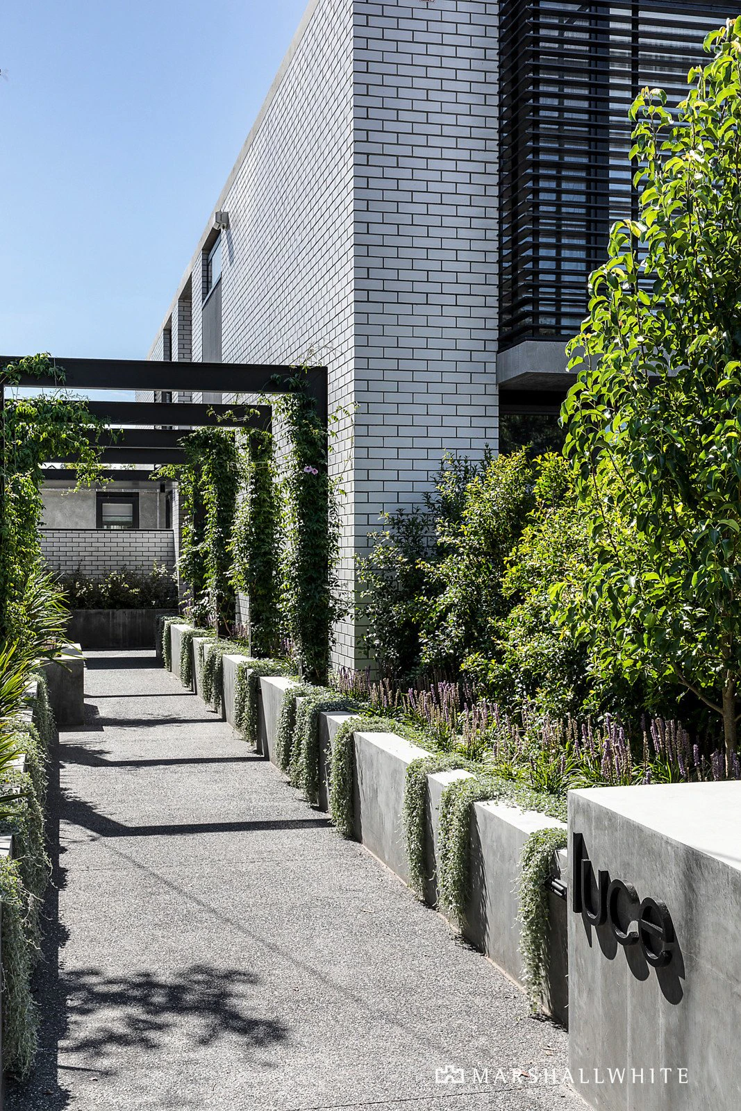 5/9-11 Adamson Street, Brighton, VIC