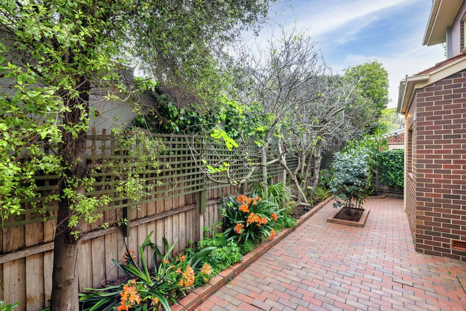 8/16 Victoria Street, Brighton, VIC