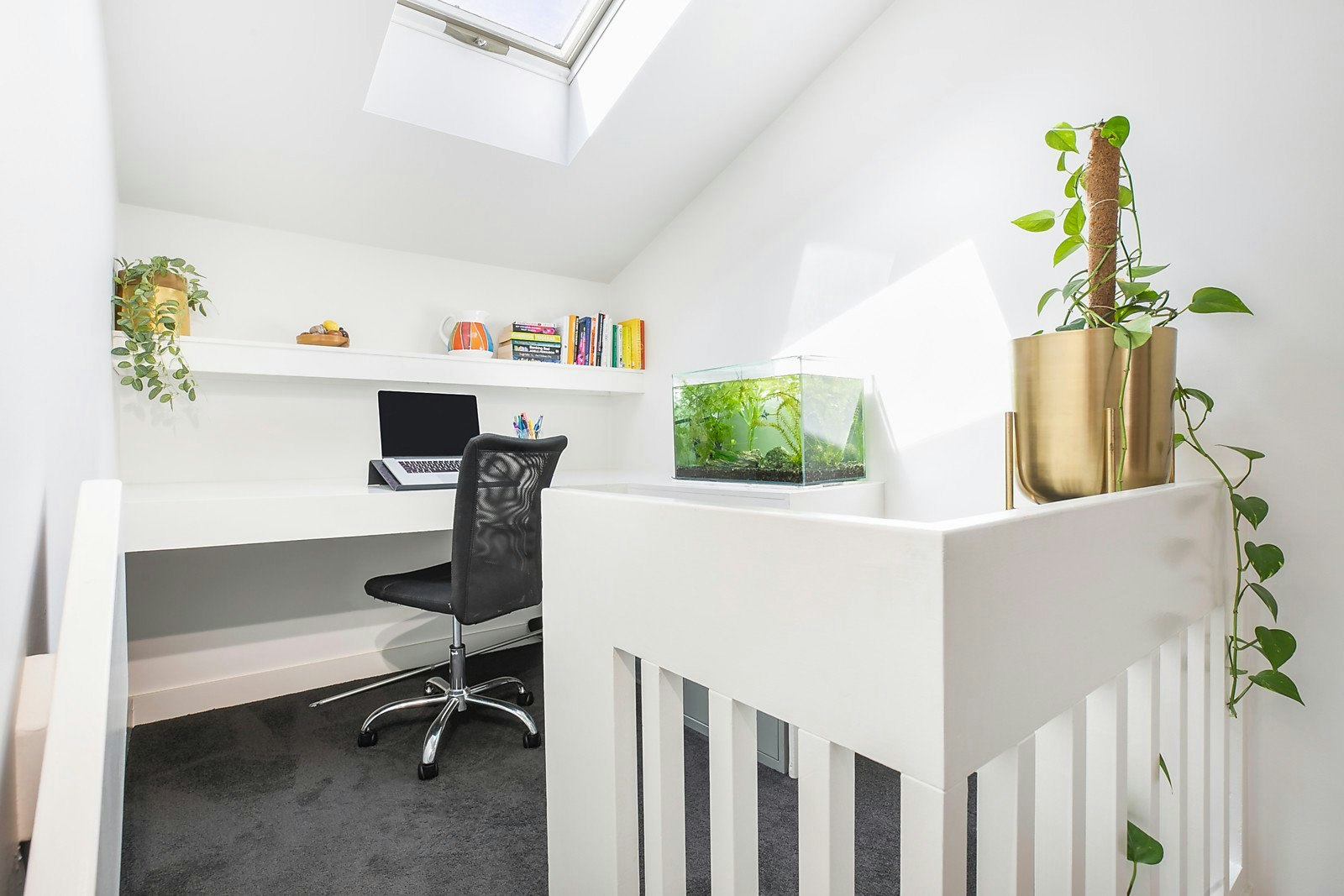 3 Landcox Street, Brighton East, VIC