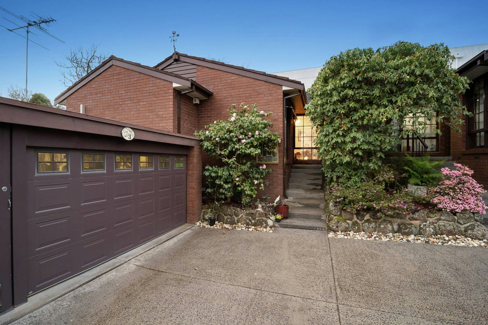 3/55 Shepherd Street, Surrey Hills, VIC