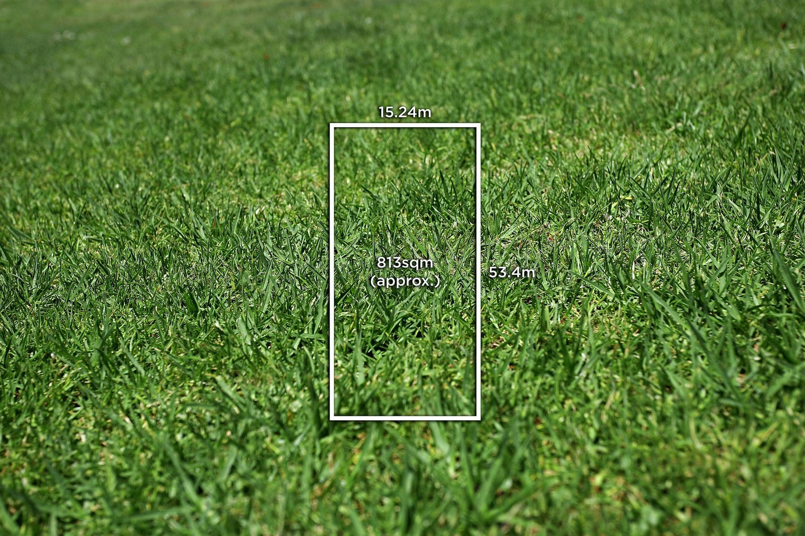 19 Gladstone Street, Sandringham, VIC