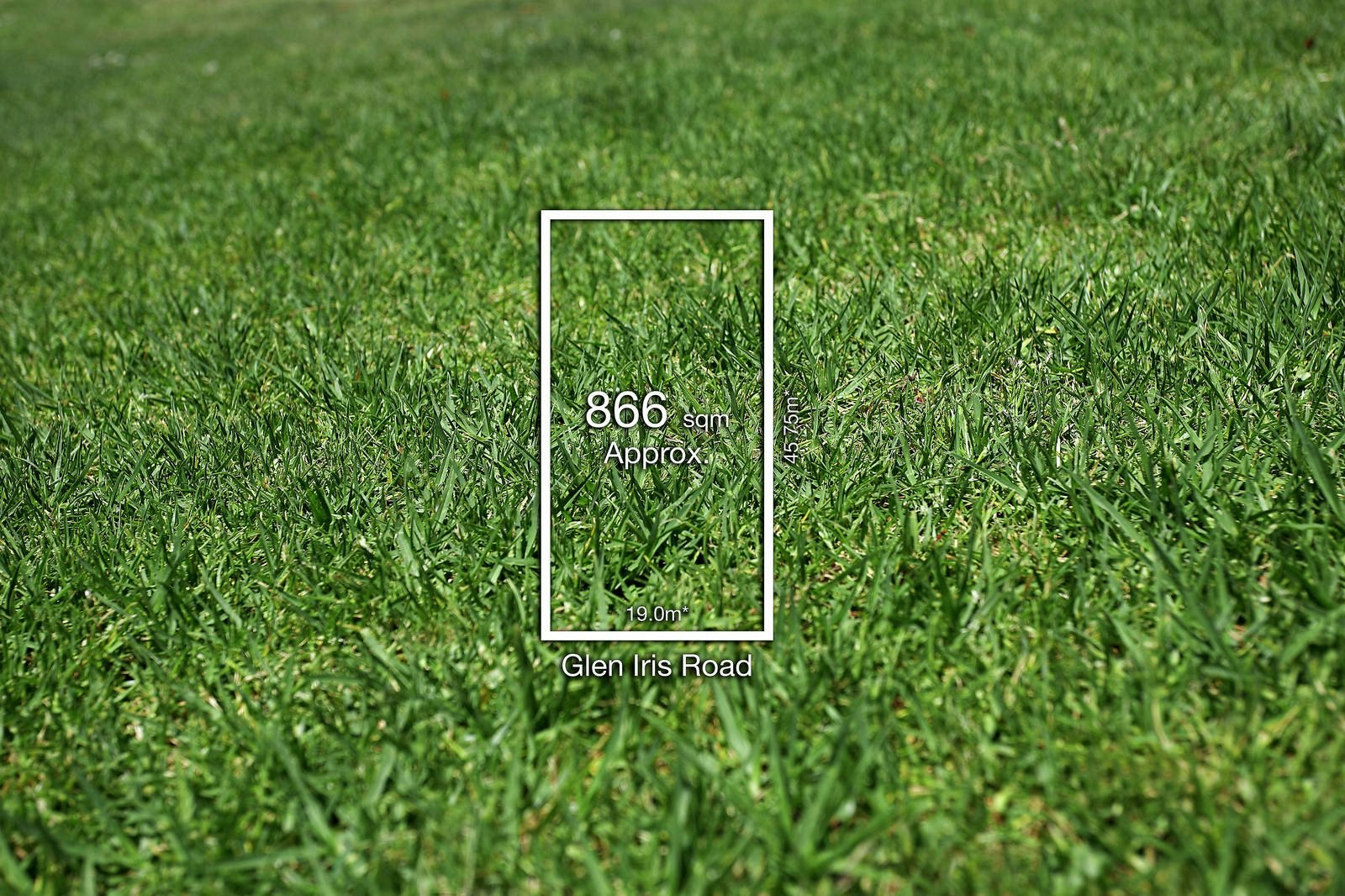 37 Glen Iris Road, Camberwell, VIC