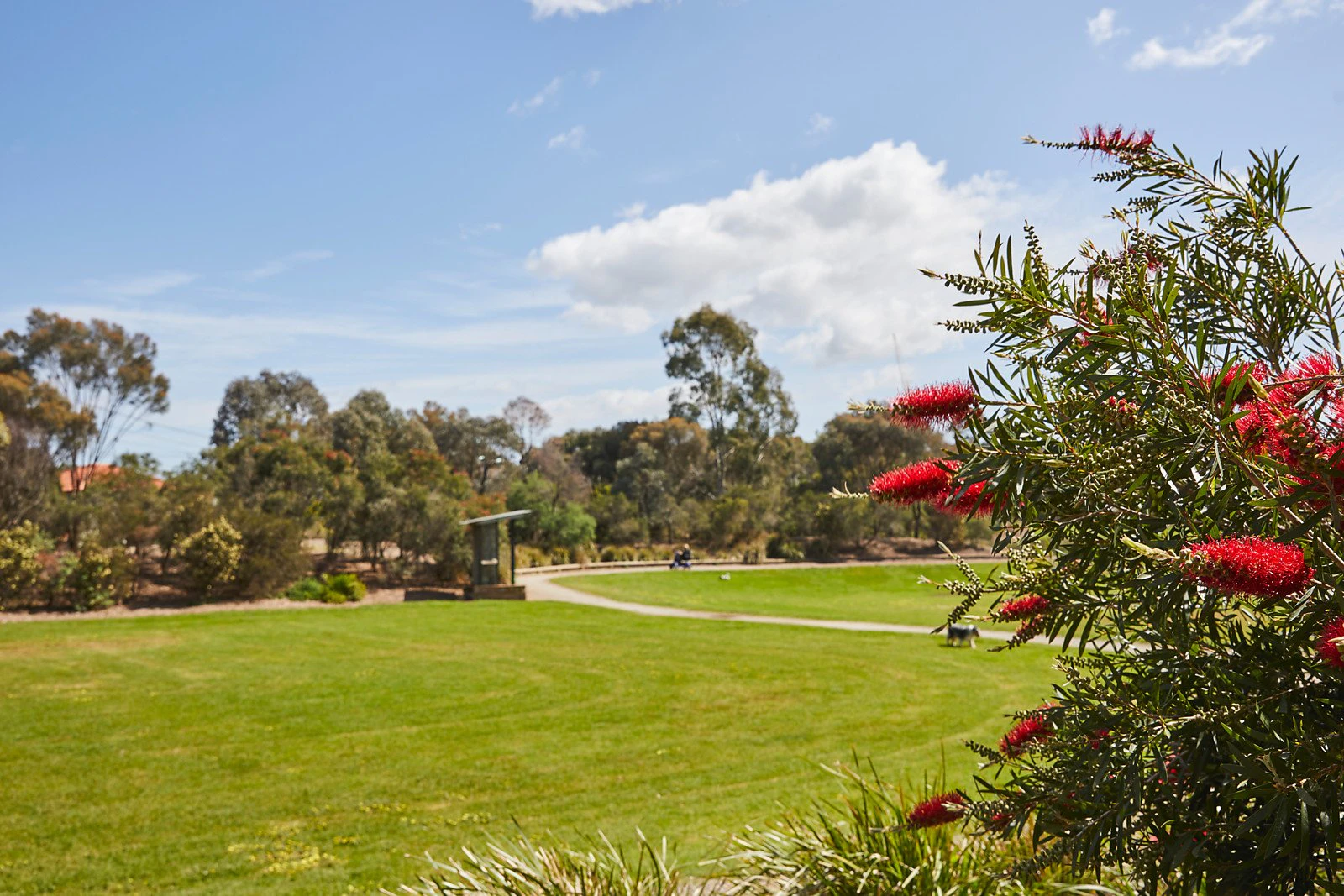 19 Roseberry Street, Hawthorn East, VIC