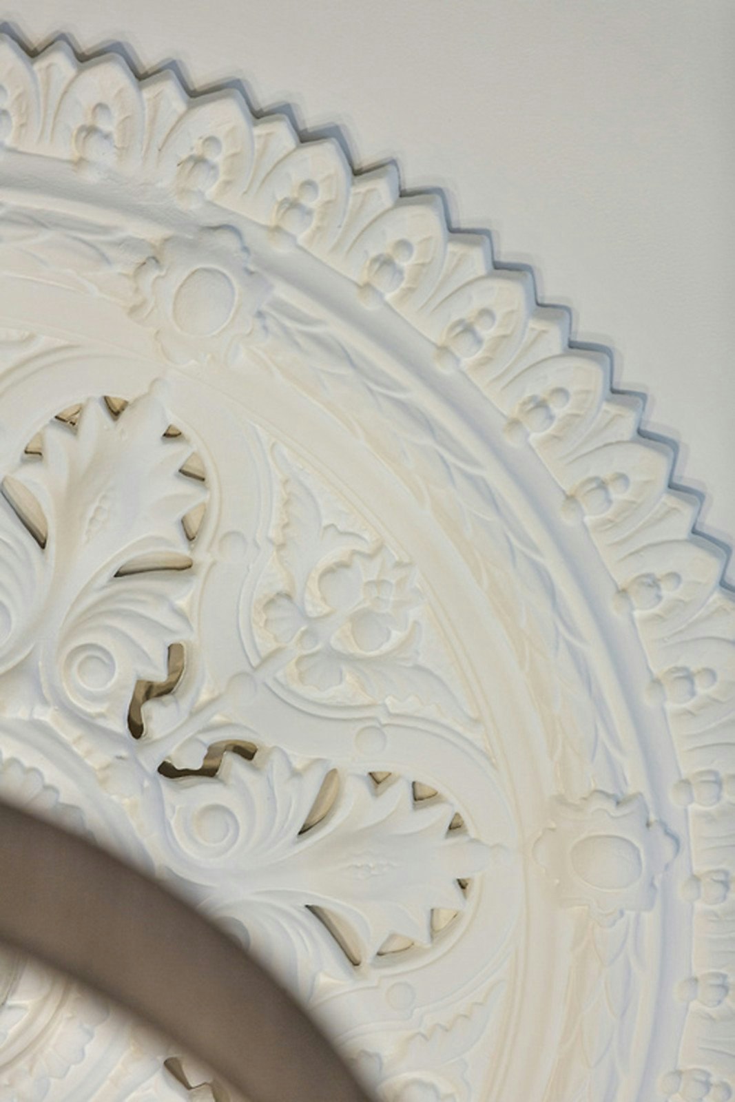 19 Roseberry Street, Hawthorn East, VIC