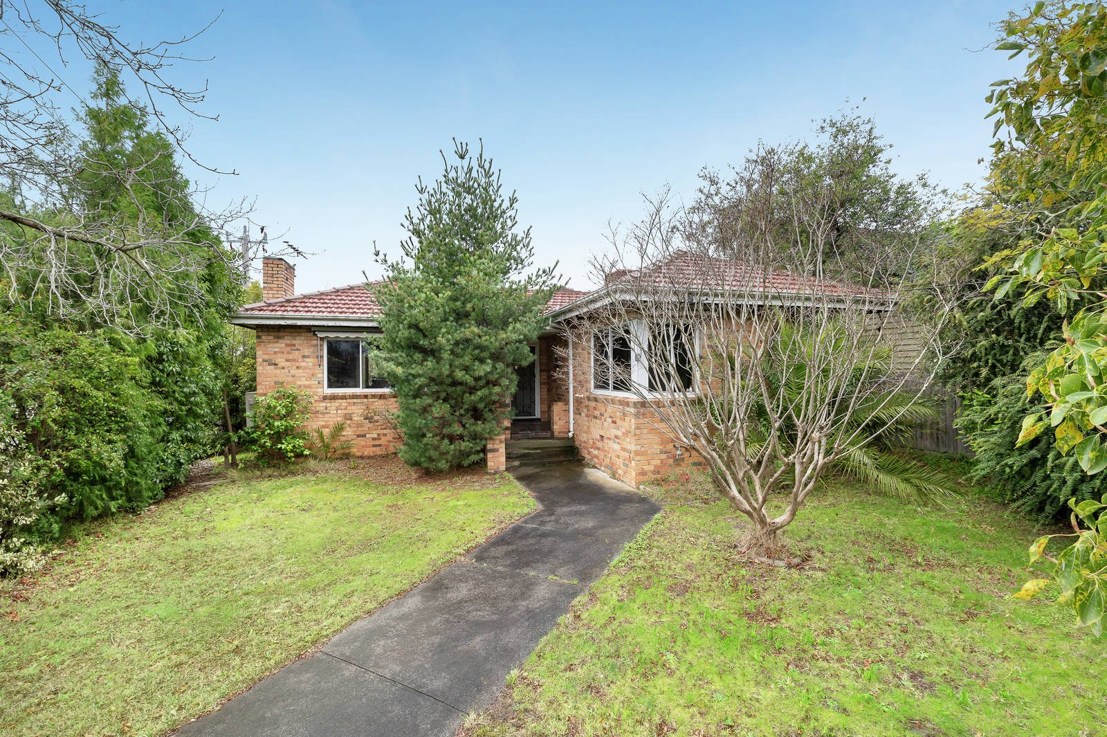 25 Fairview Avenue, Camberwell - Thumbnail 3