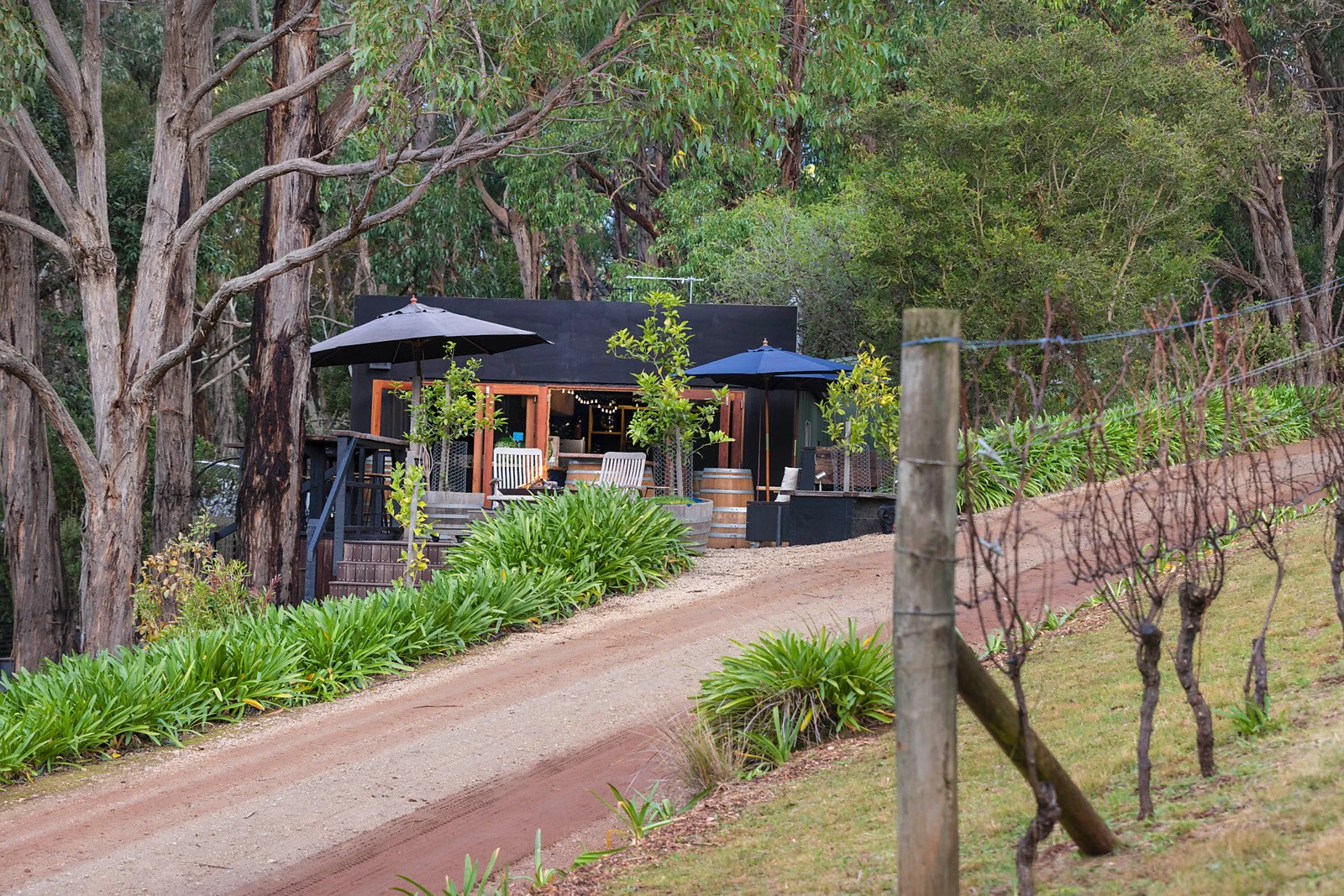 6 Ocean View Avenue, Red Hill South, VIC