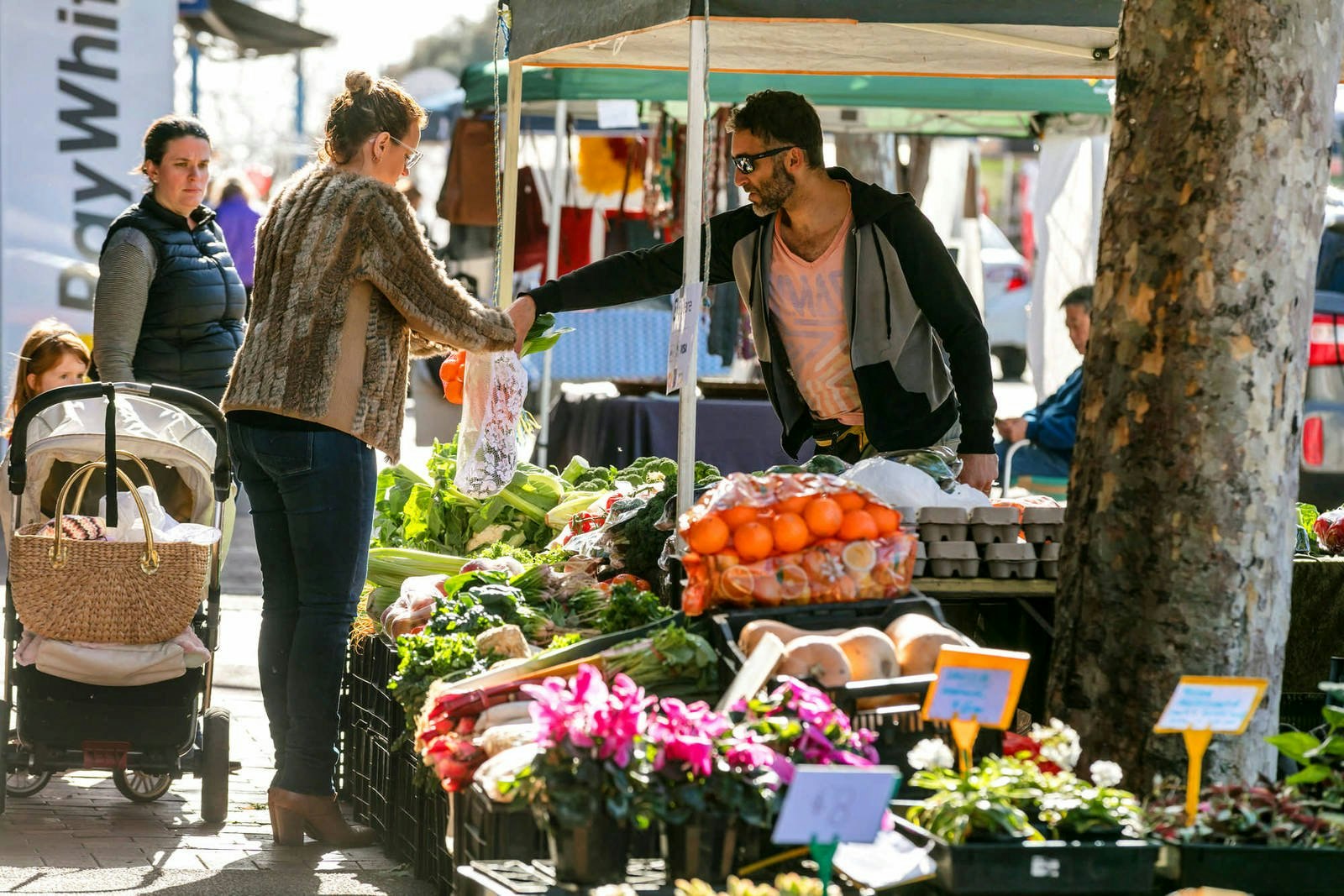 3/19 Seaton Road, Mornington, VIC