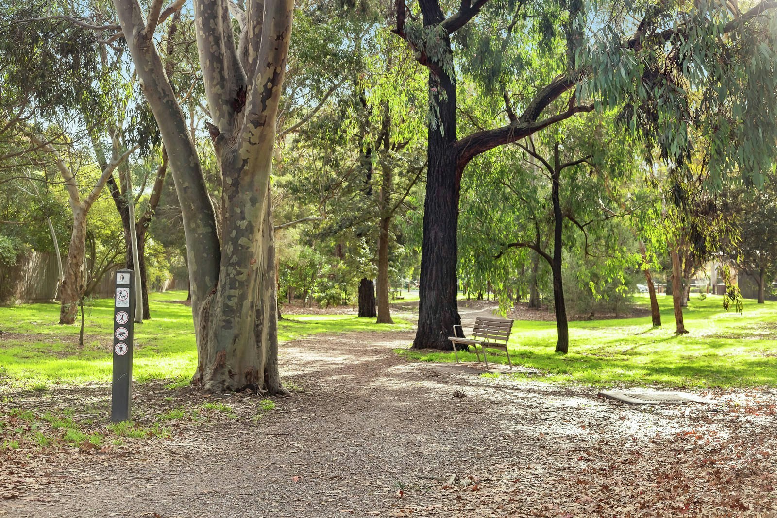 4A Head Street, Balwyn, VIC
