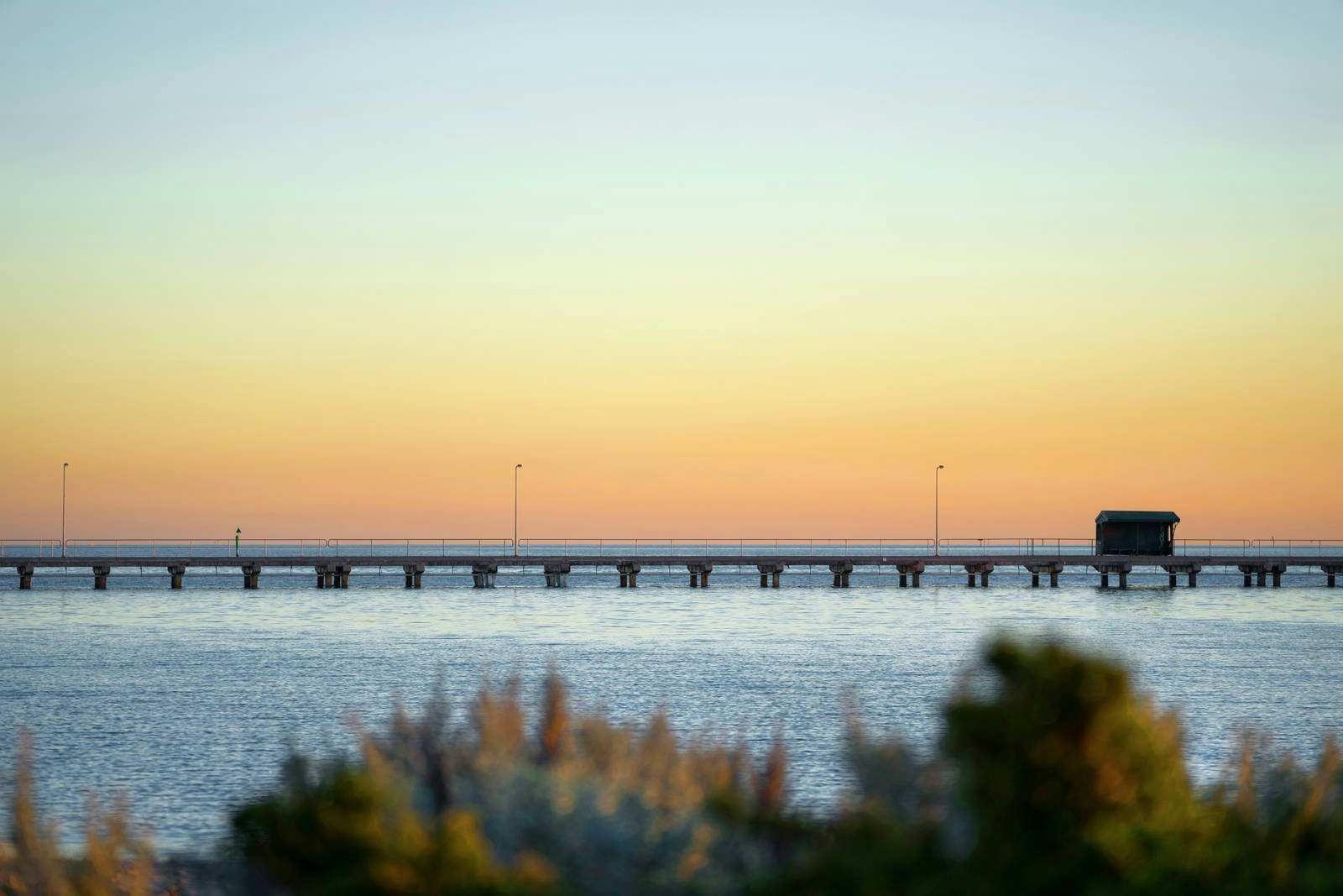 23 Seacombe Grove, Brighton, VIC