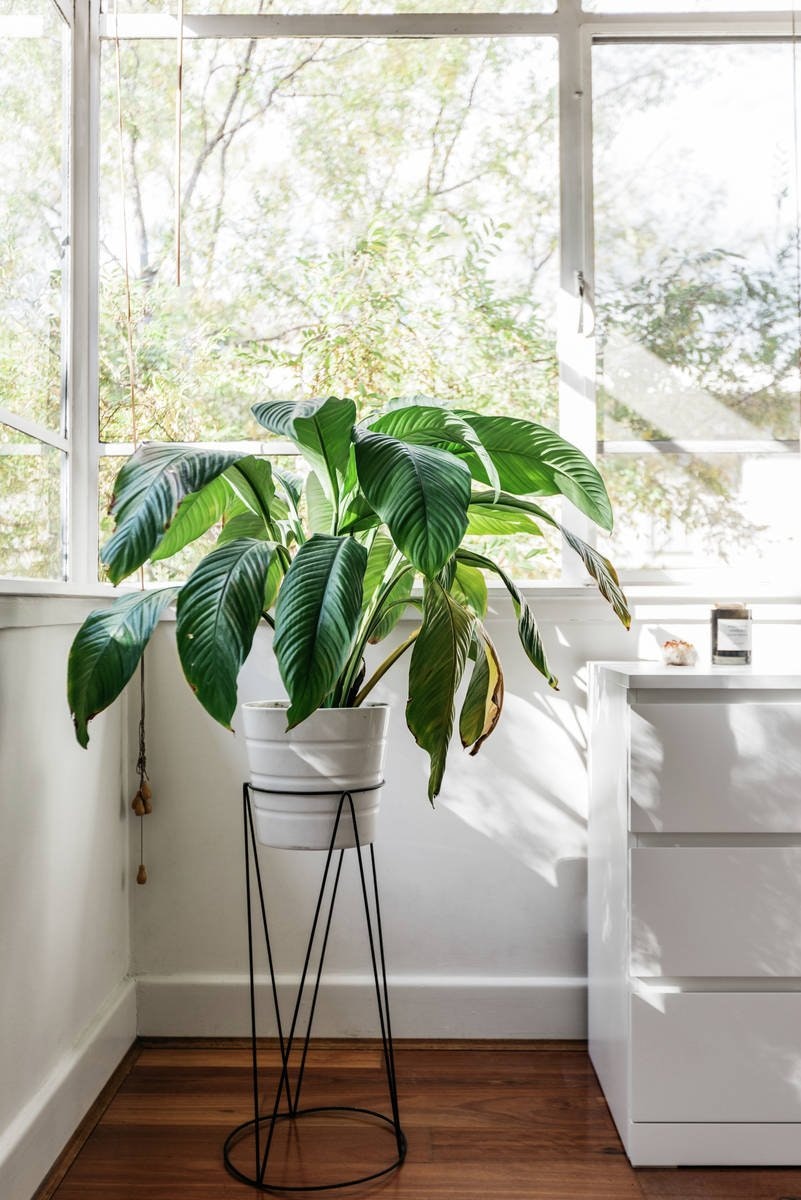 4/714 Burwood Road, Hawthorn East, VIC