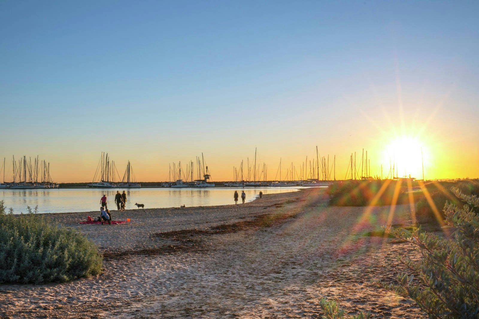 23 Seacombe Grove, Brighton, VIC