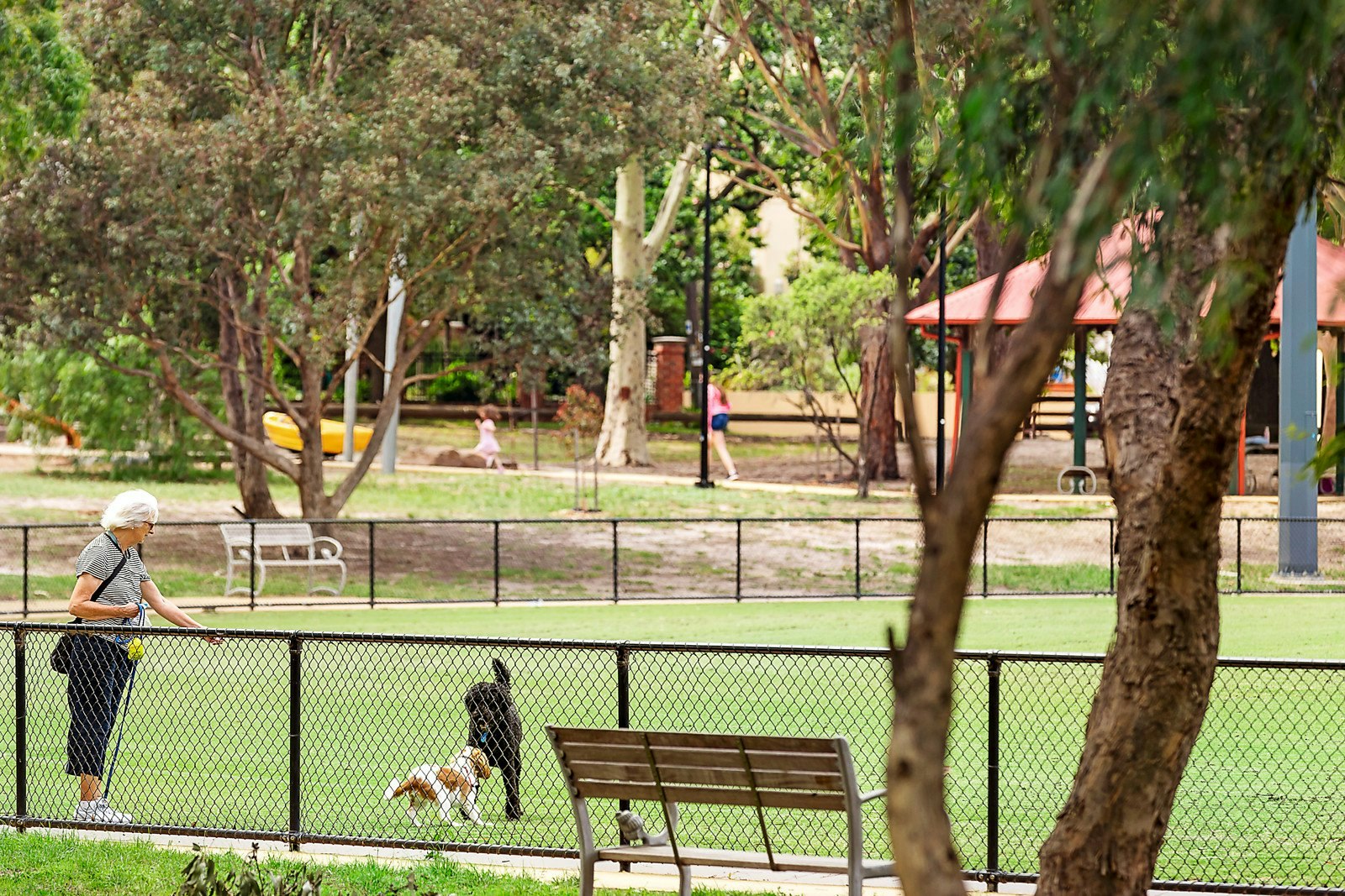 36 Clinton Street, Brighton East, VIC