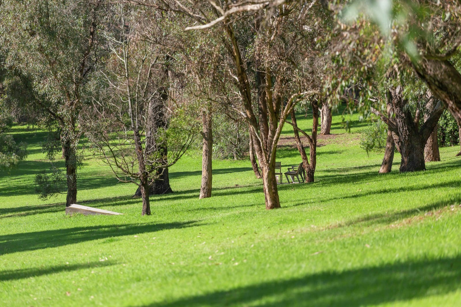 66 Barnard Grove, Kew, VIC