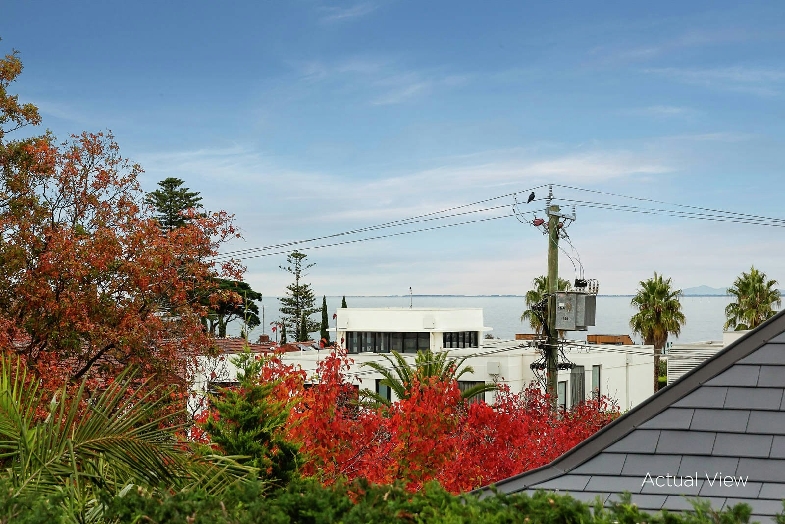 3 Maysbury Avenue, Brighton, VIC