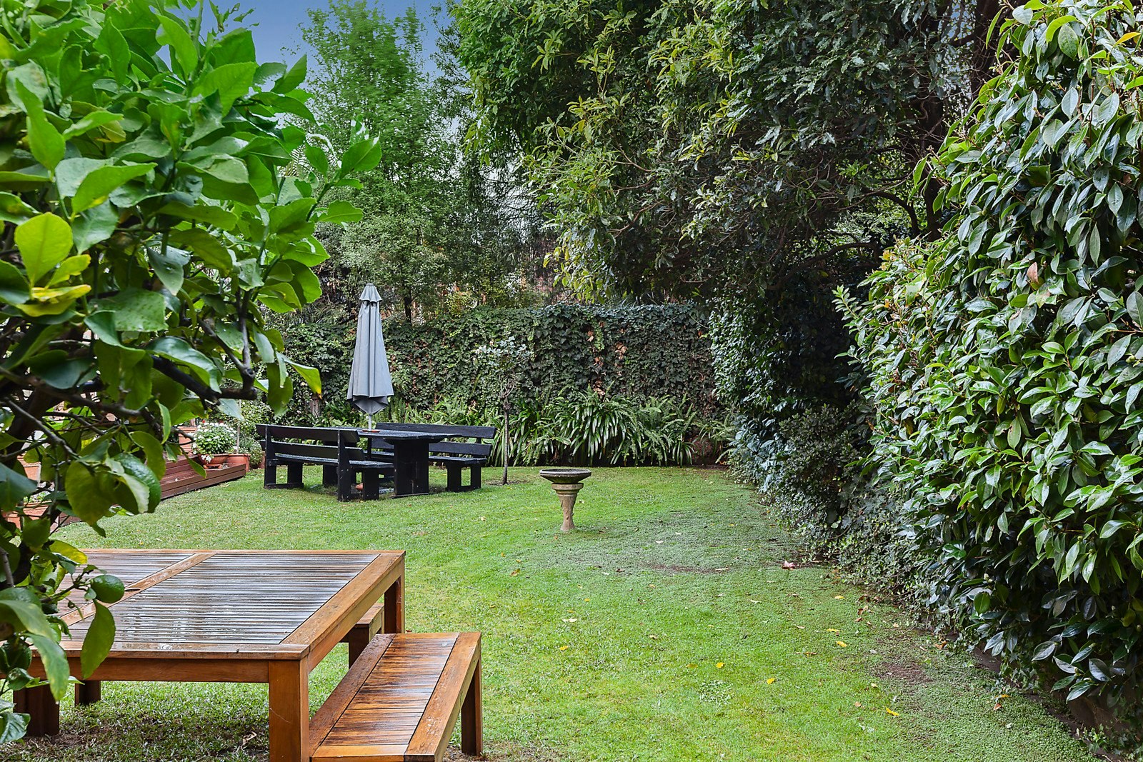 1/13 Callantina Road, Hawthorn, VIC