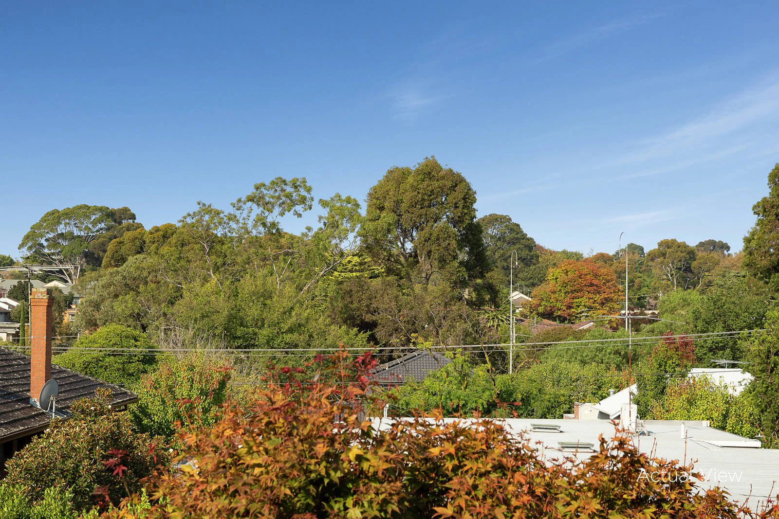 22 Maitland Street, Glen Iris, VIC