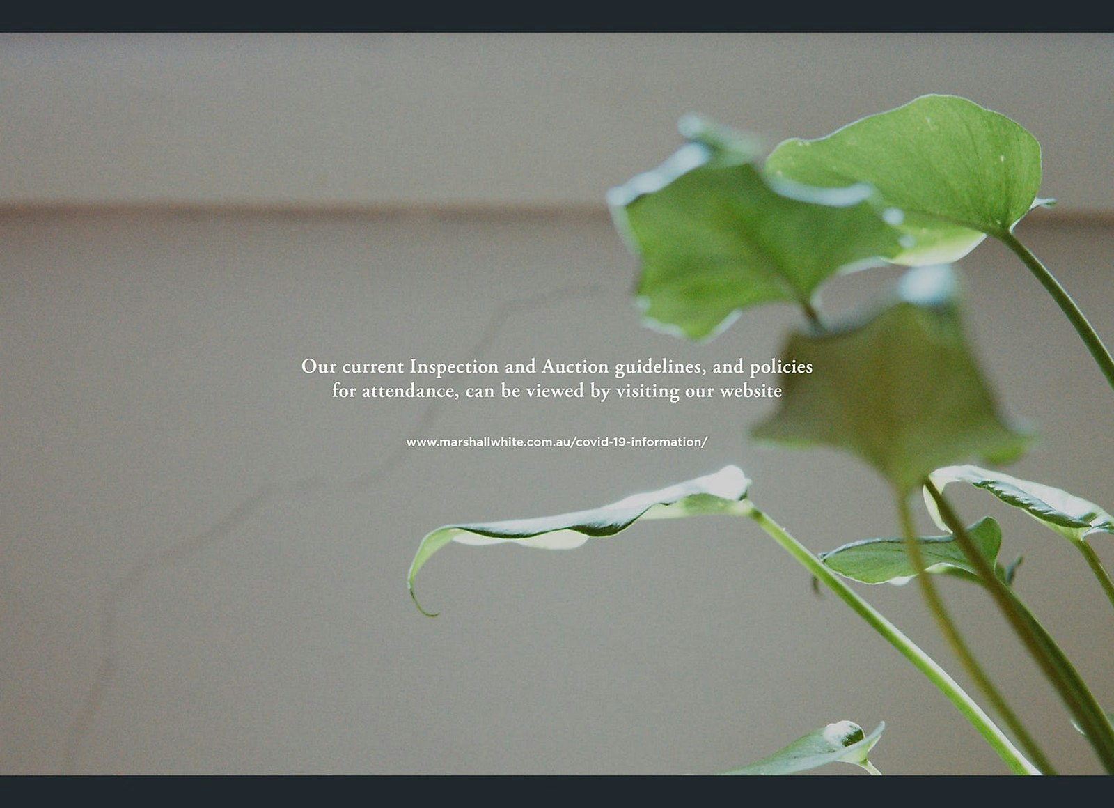 14 Torrington Place, Canterbury, VIC