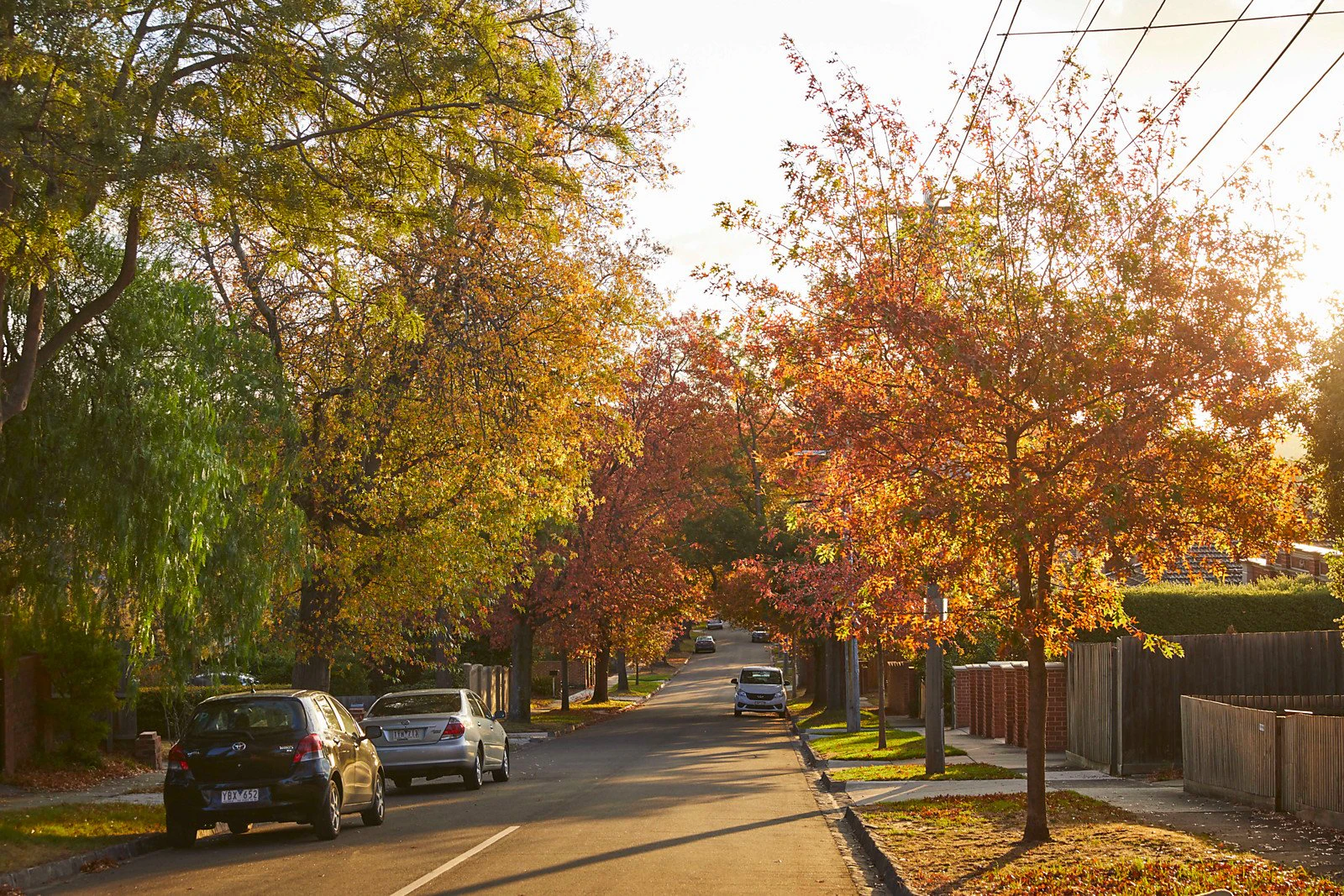 390 Elgar Road, Box Hill, VIC