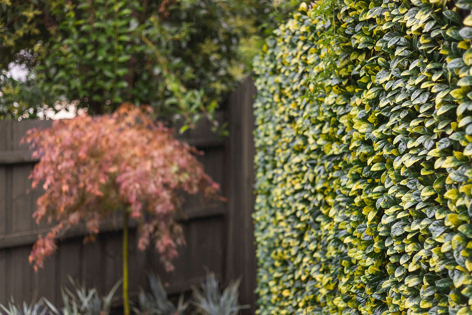 1/25 Grace Street, Mont Albert, VIC