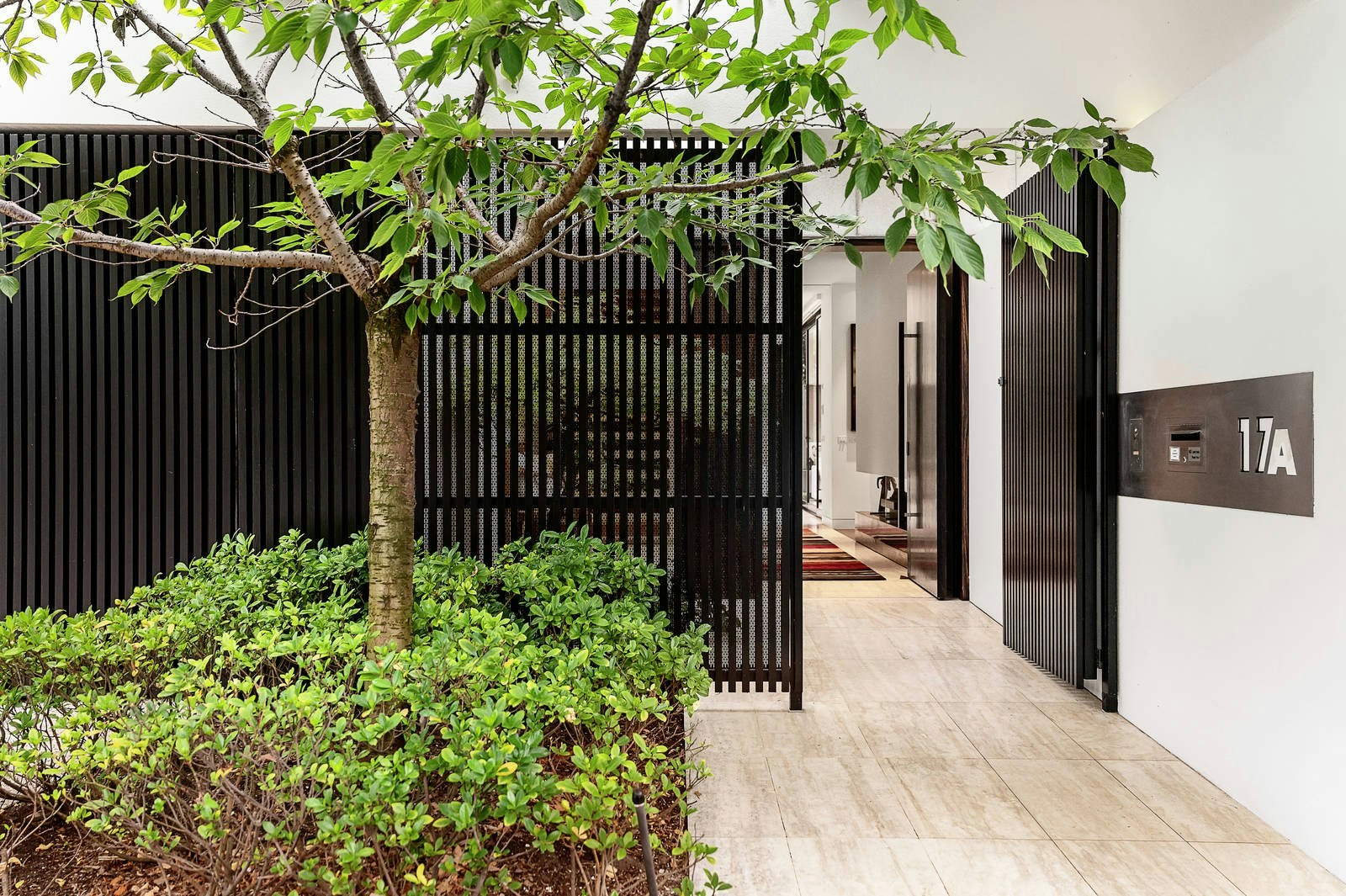 17a Halifax Street, Brighton, VIC