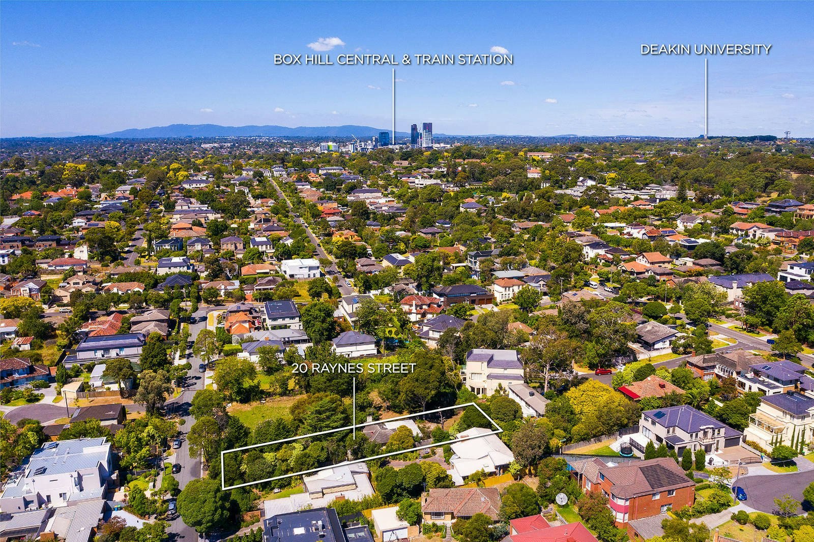 20 Raynes Street, Balwyn, VIC