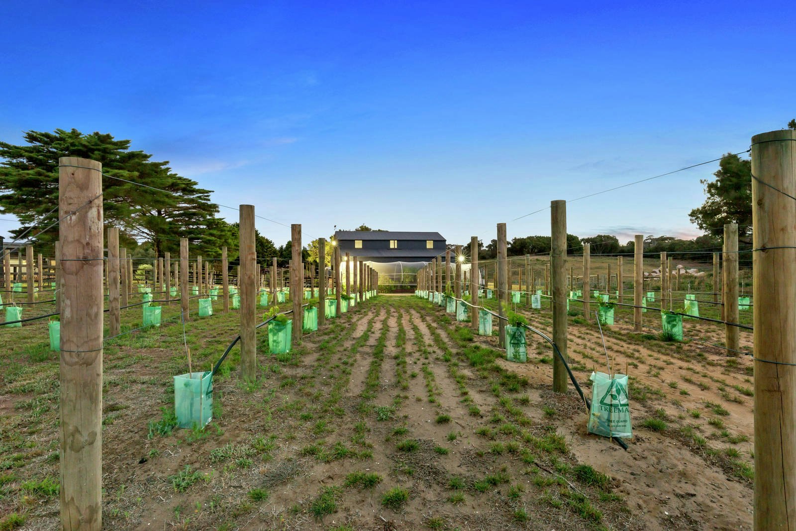 4 Placadena Road, Fingal, VIC