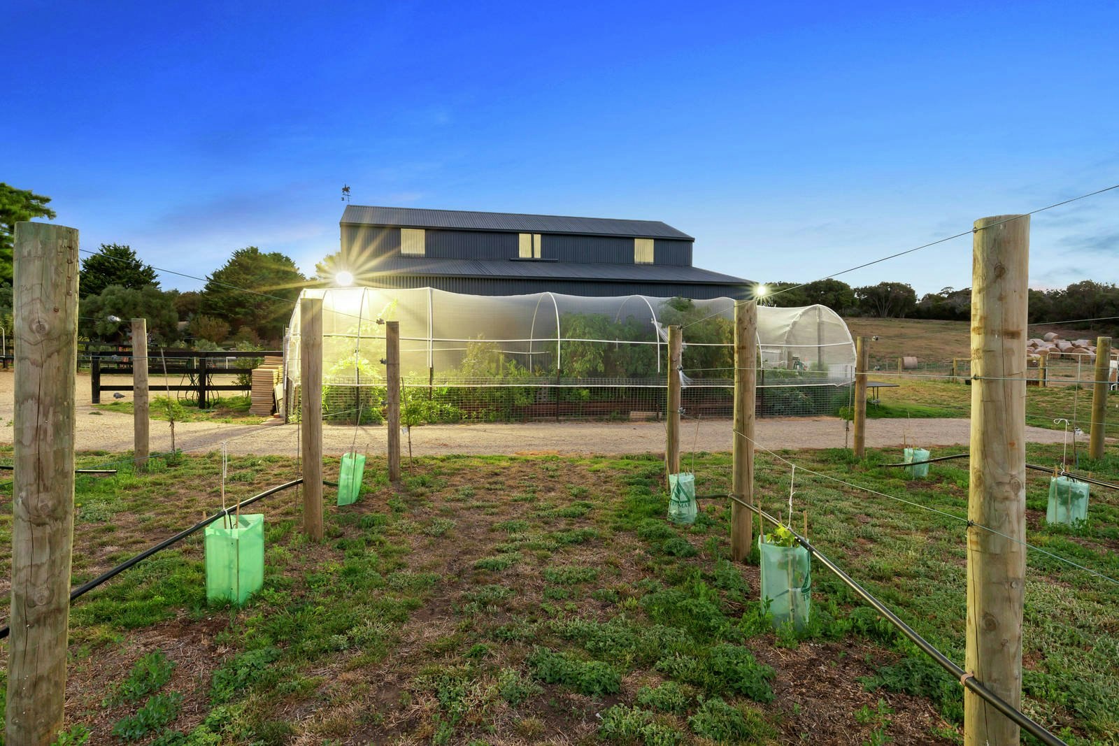 4 Placadena Road, Fingal, VIC