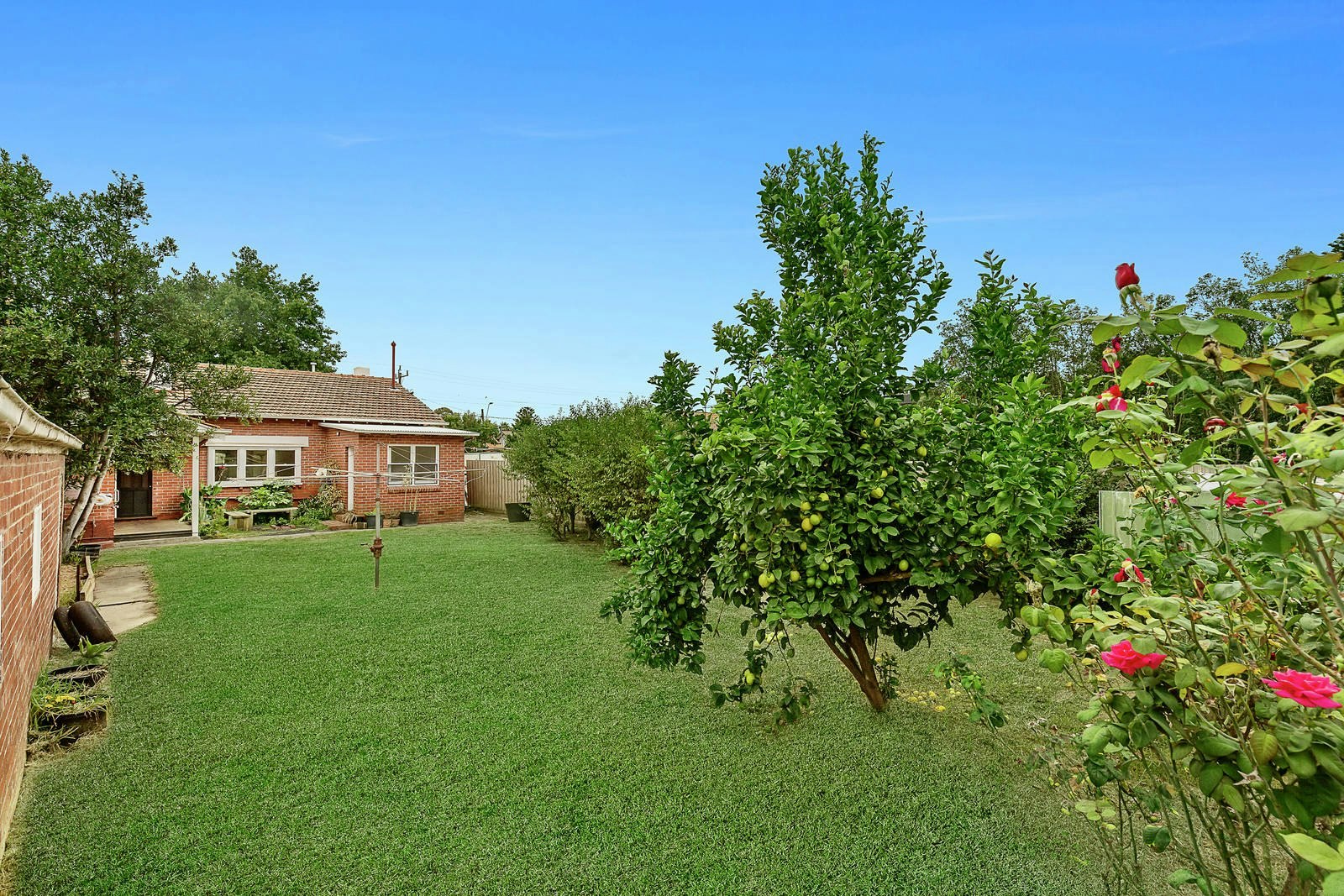 6 Darling Road, Malvern East, VIC