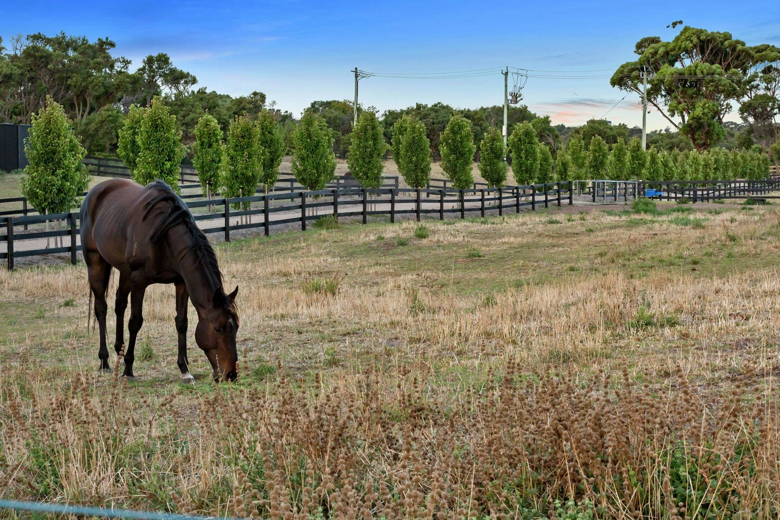 4 Placadena Road, Fingal, VIC