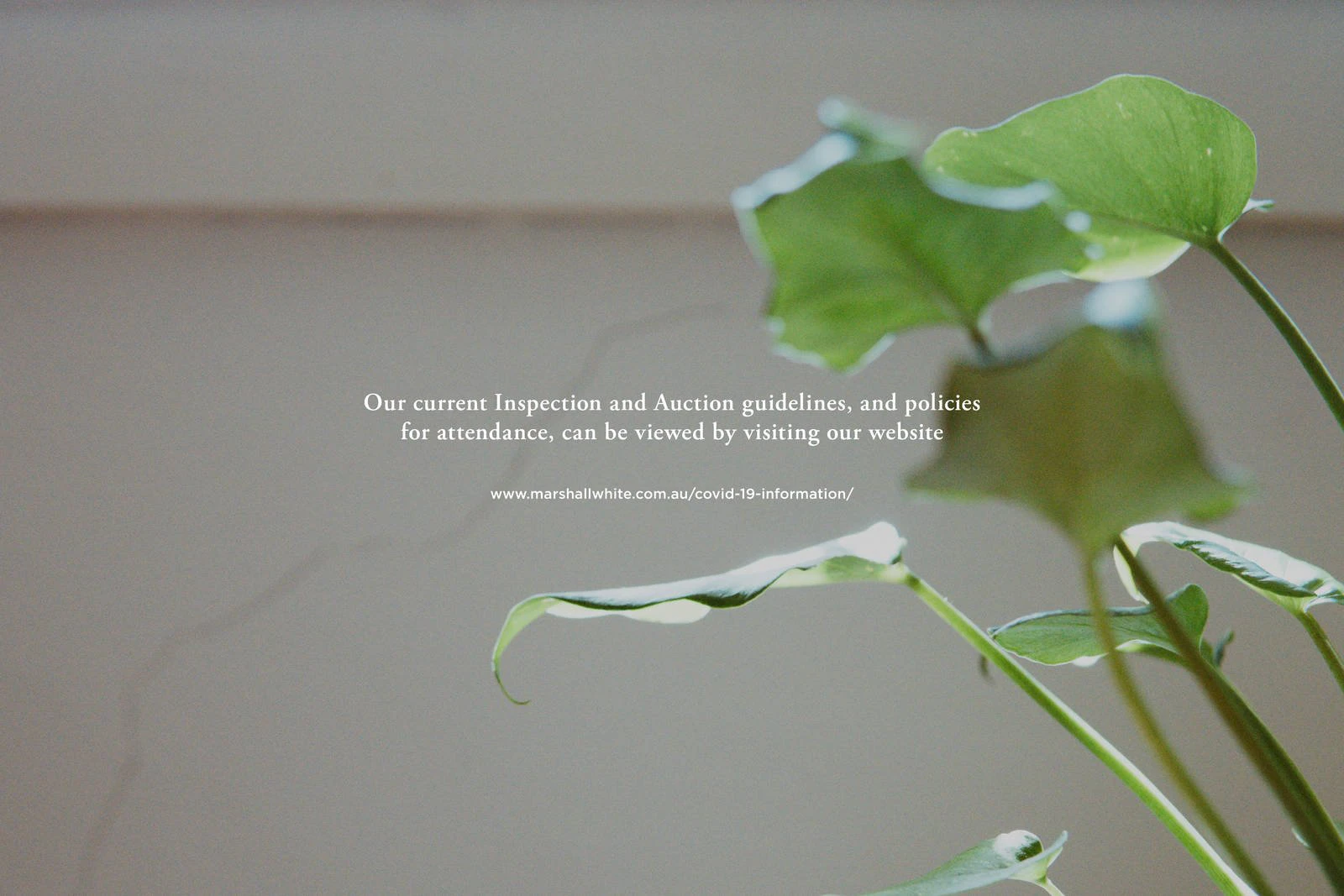 33 Union Road, Surrey Hills, VIC