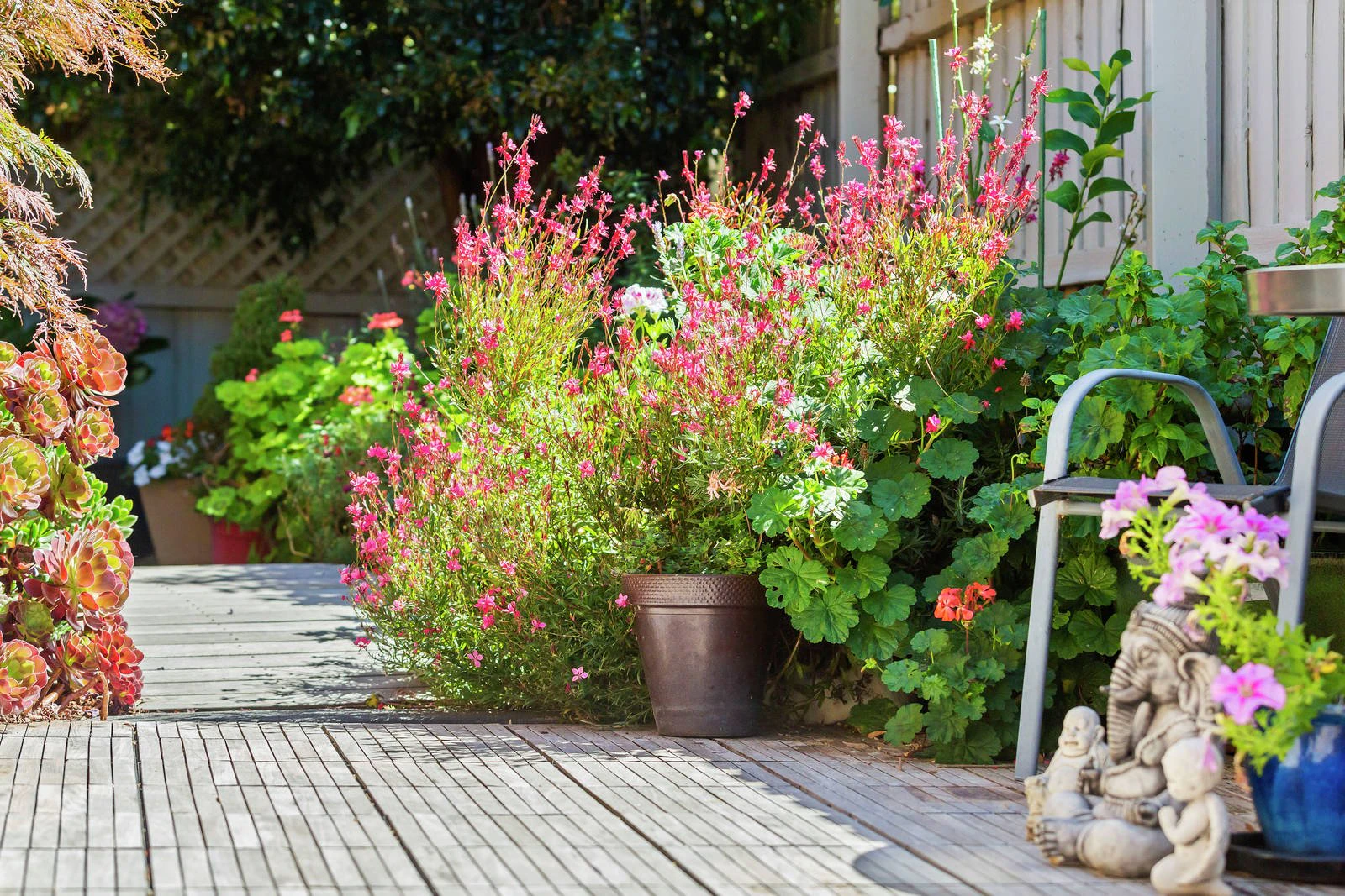 2/5 Baden Powell Place, Mount Eliza, VIC